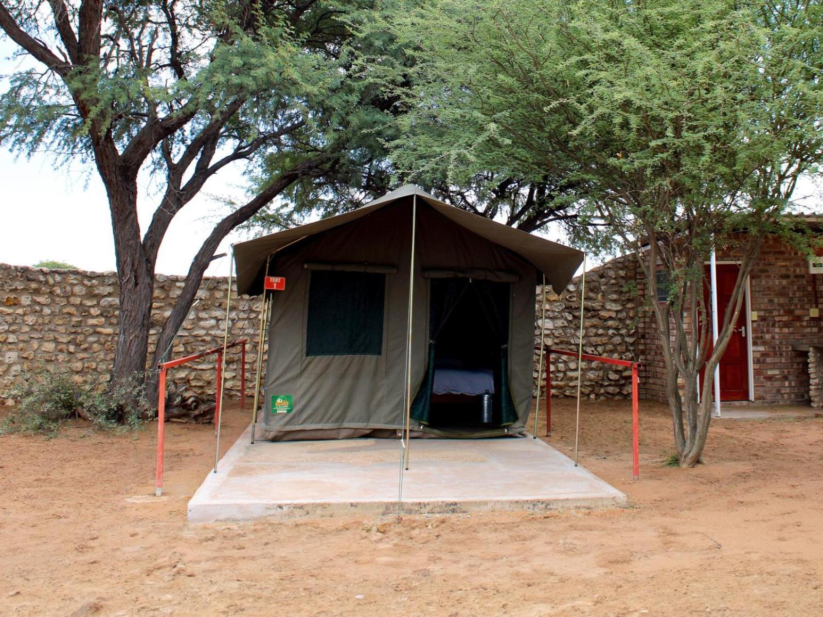 Tent photo 2