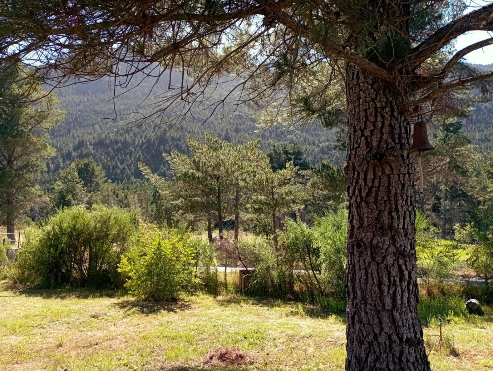 Chalet photo 2