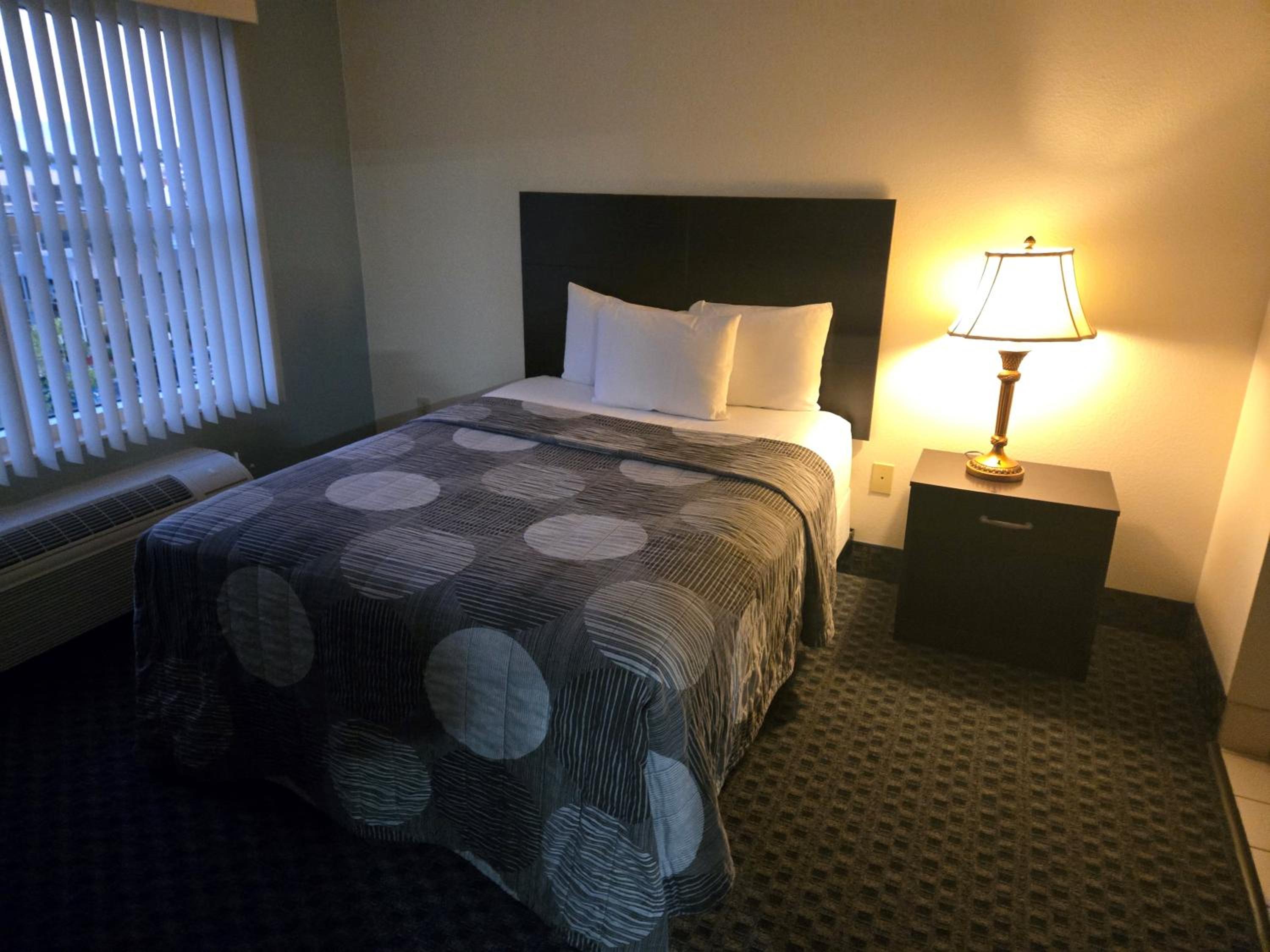 Deluxe Suite - Photo 10