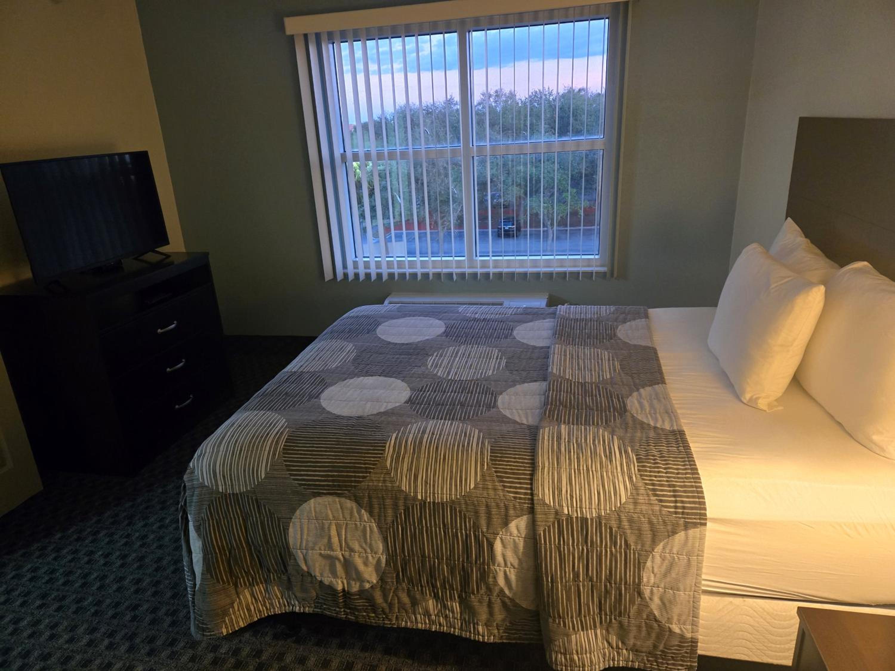 Deluxe Suite - Photo 11