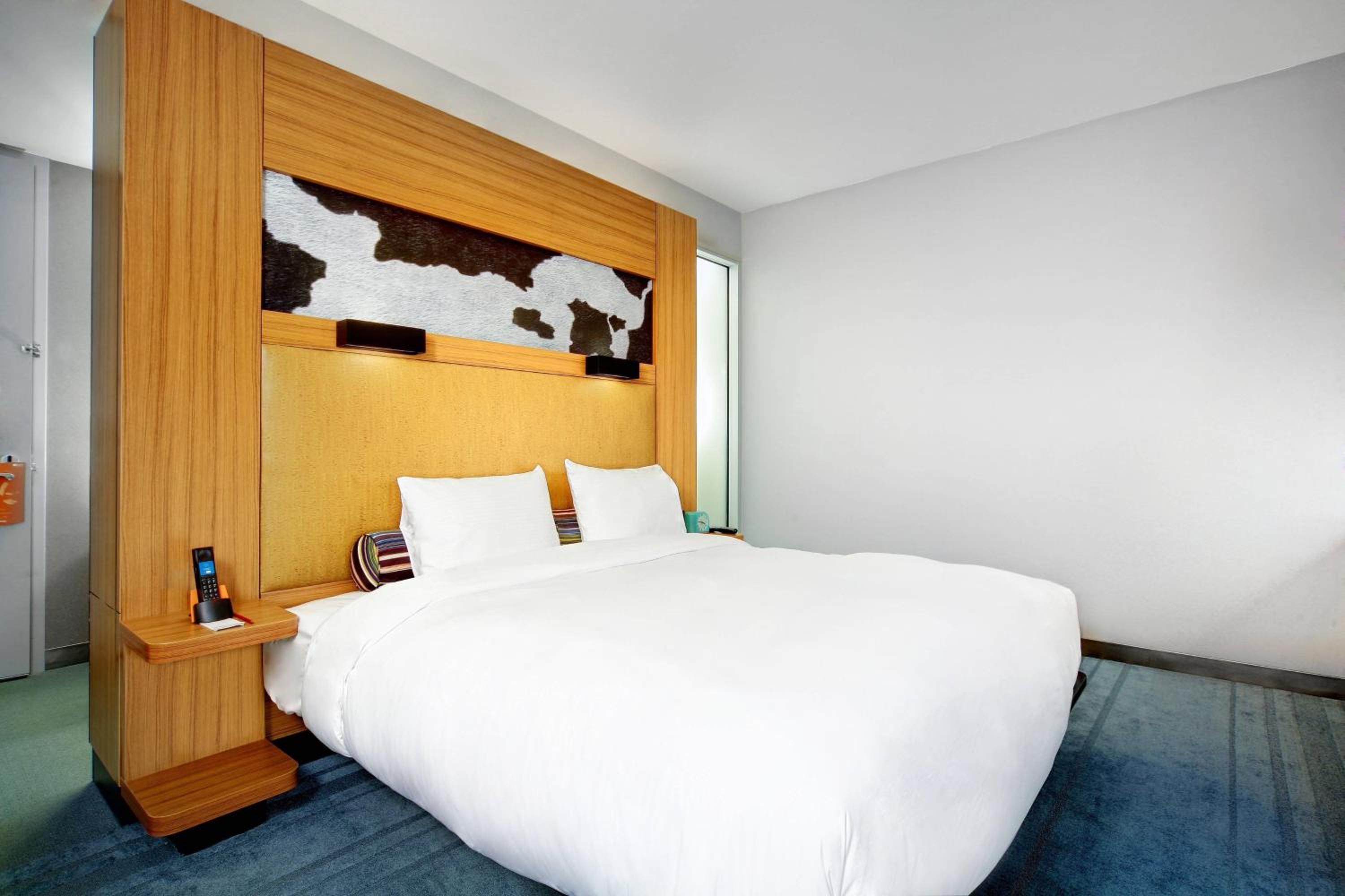 King Room with Roll-in Shower - Mobility and Hearing Accessible - Photo 1