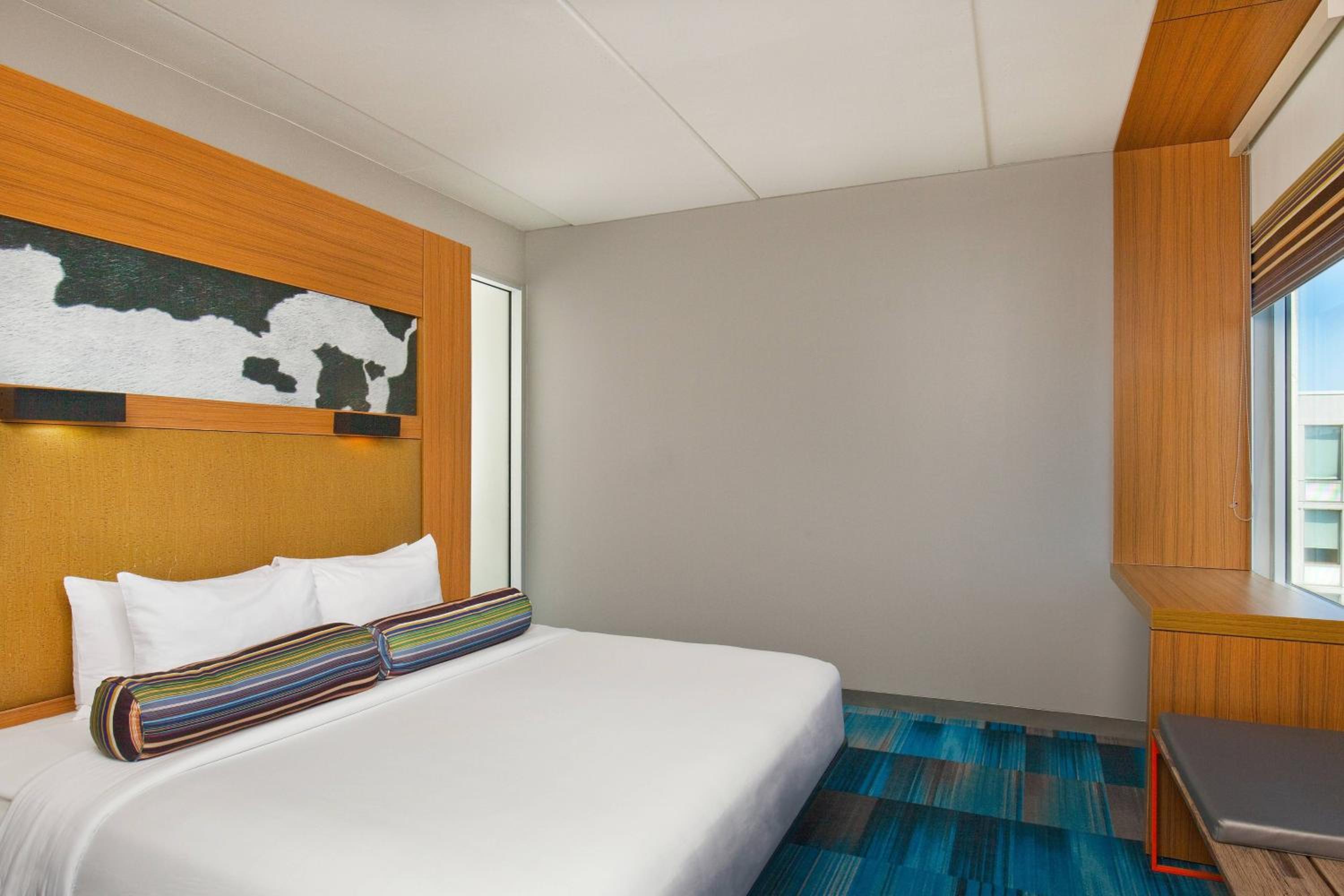 King Room with Roll-in Shower - Mobility and Hearing Accessible - Photo 2