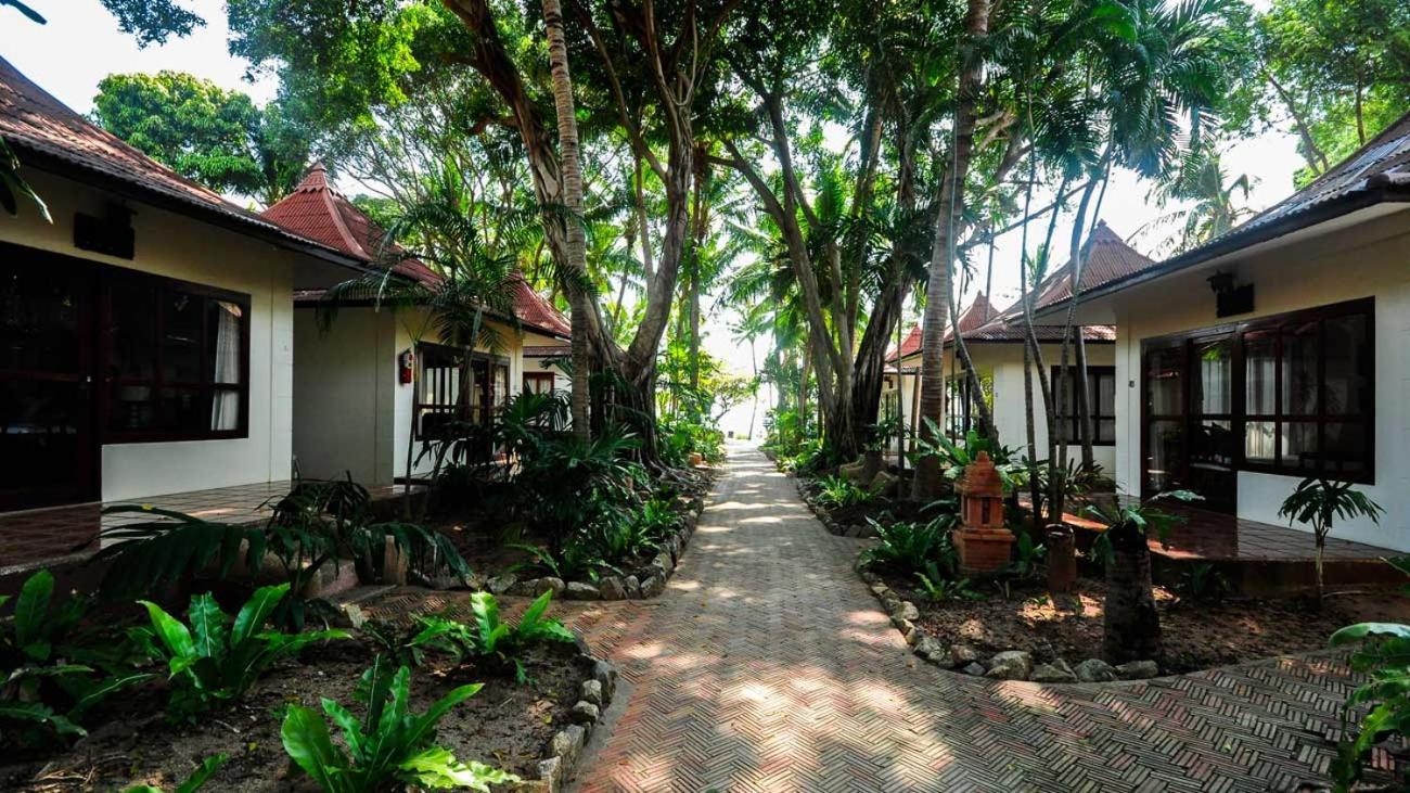 Deluxe Villa photo 2