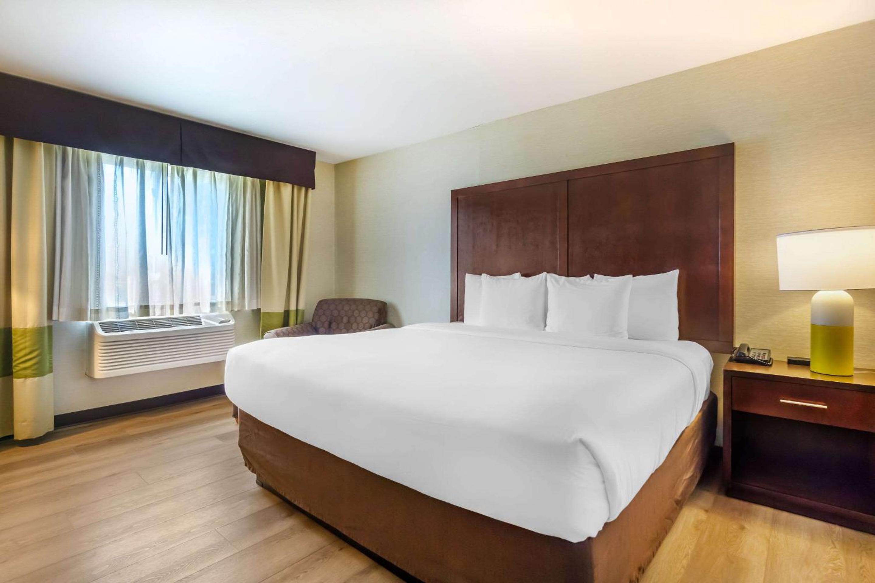 King Suite with Sofa-Bed - Non-Smoking - Photo 2