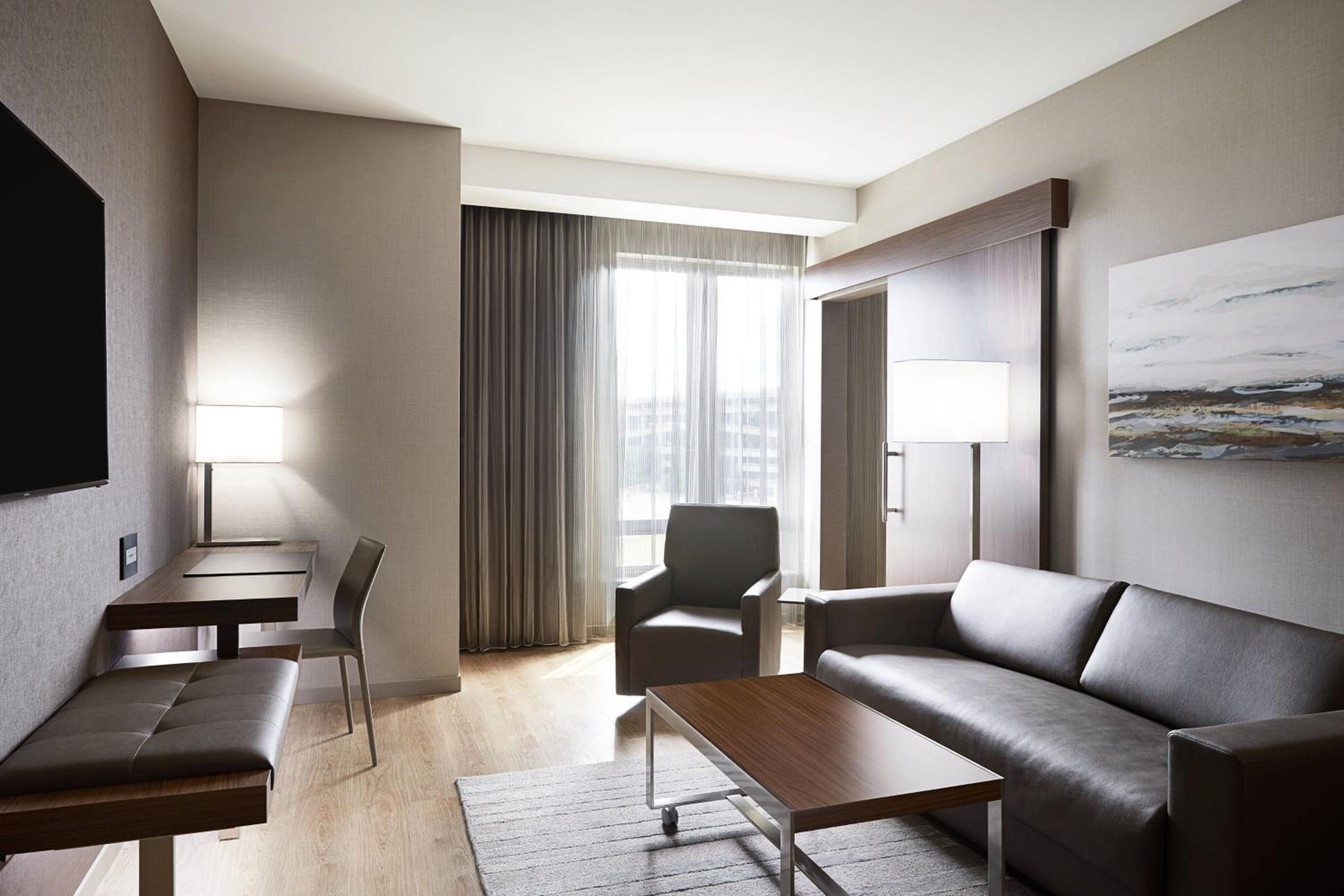 King Suite with Sofa Bed