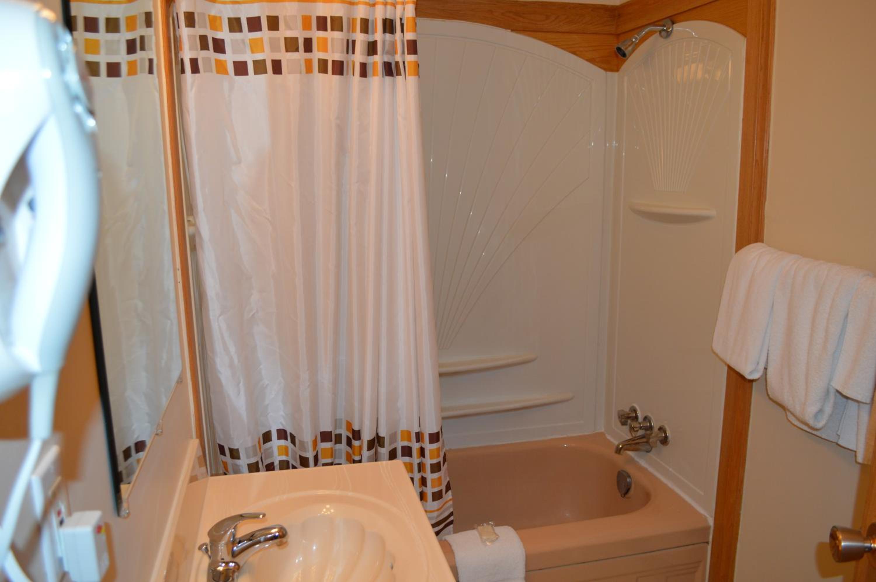 Two-Bedroom Apartment - No Air Conditioning photo 2