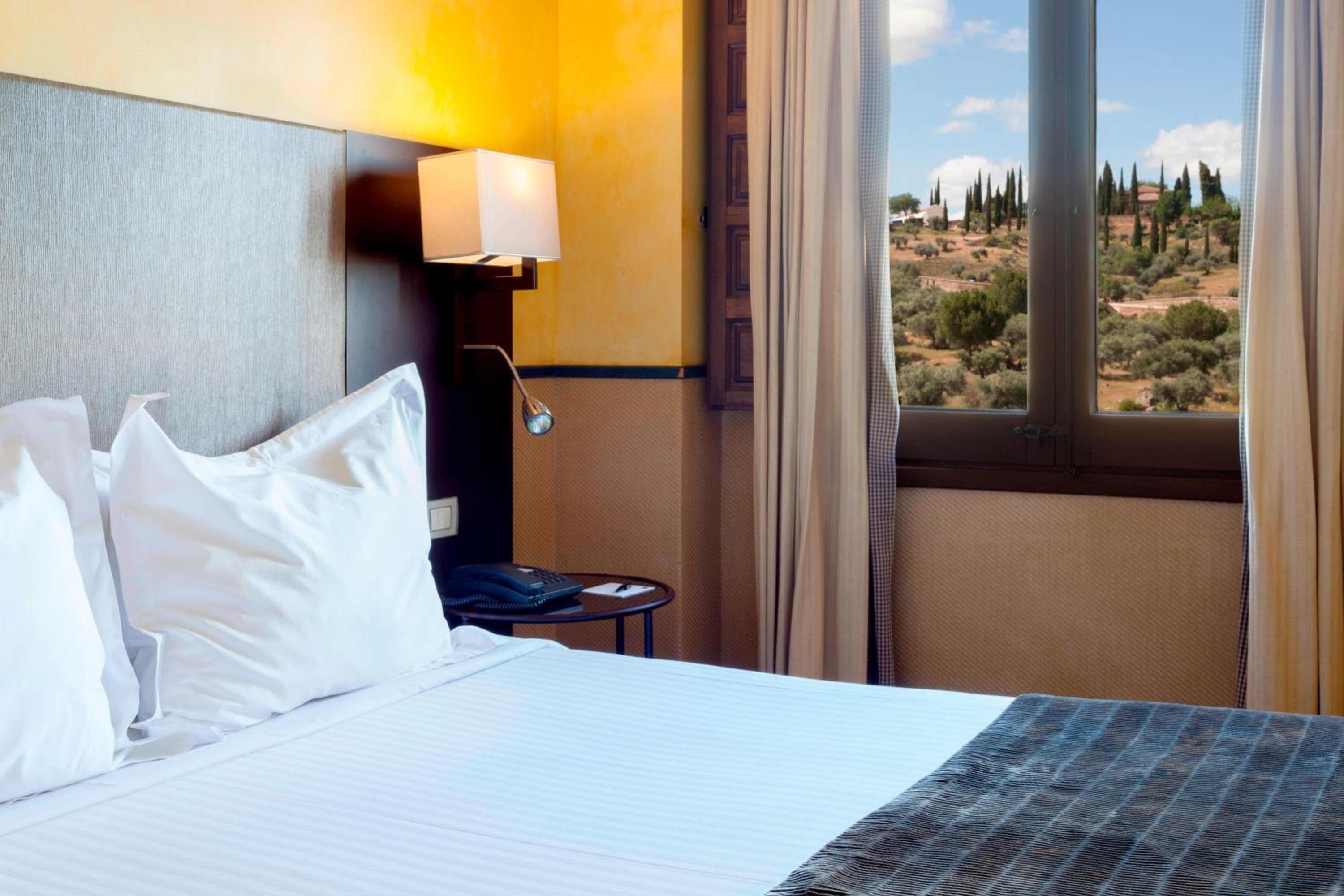 Superior Twin Room with Terrace