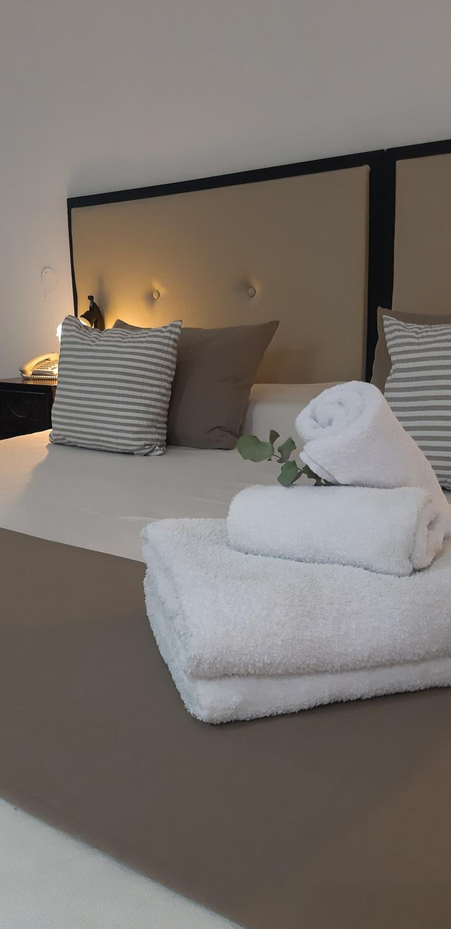 Deluxe Double or Twin Room with Garden View photo 3