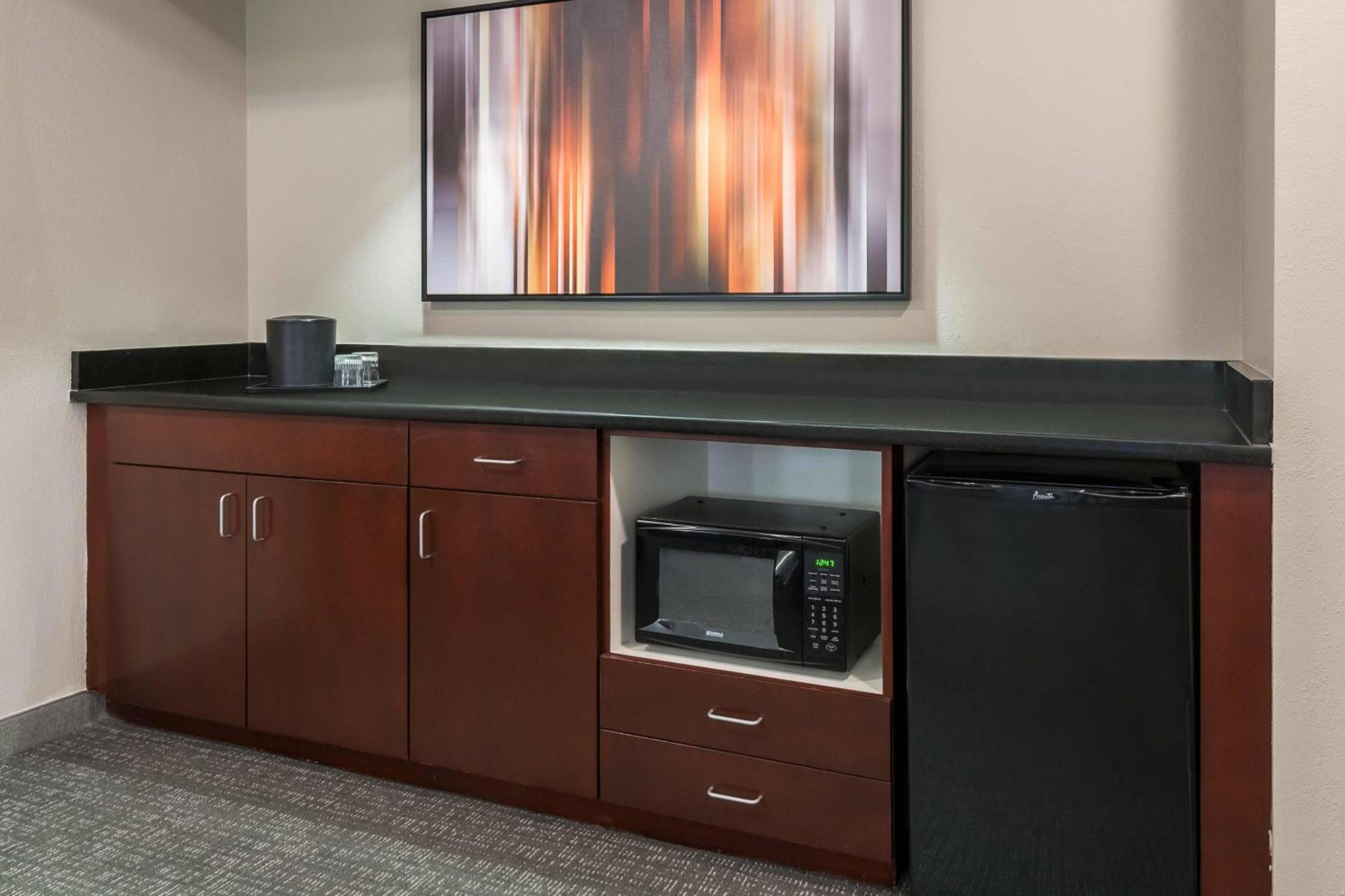 One-Bedroom King Suite with Sofa Bed and Balcony - Hearing Accessible