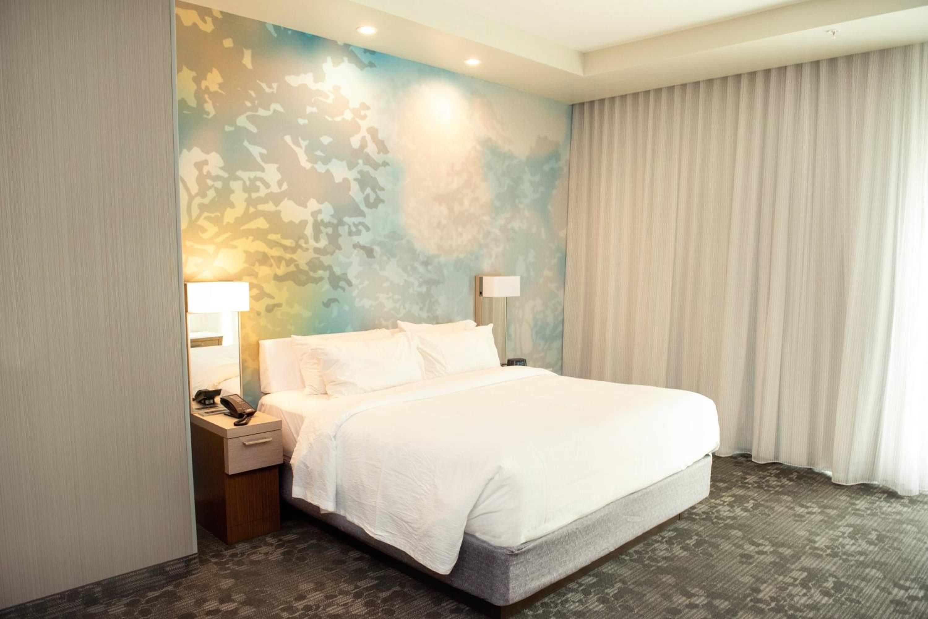 Suite, 1 King, Sofa bed - Photo 2