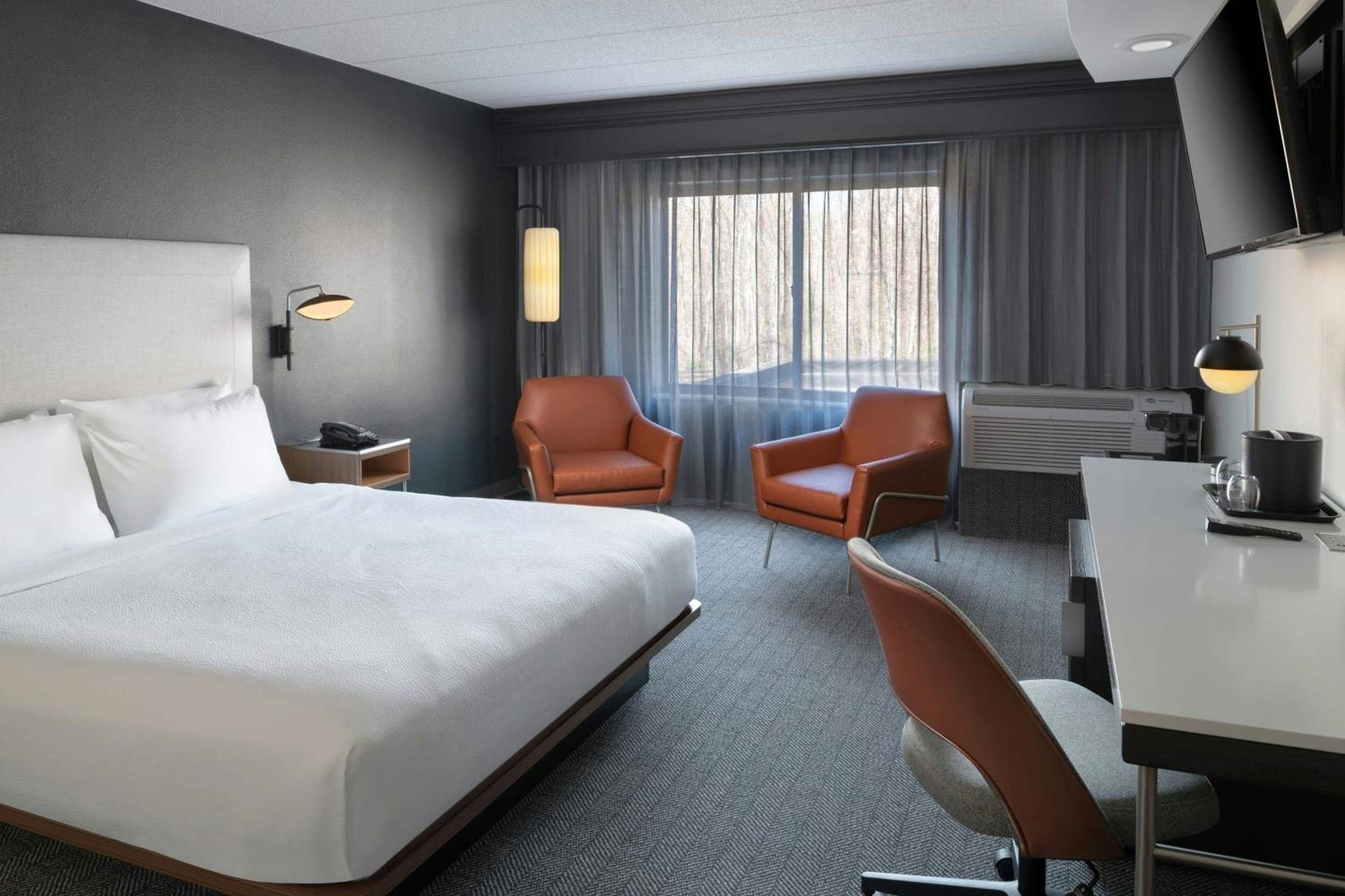 King Room with Sofa Bed - Hearing Accessible - Photo 3