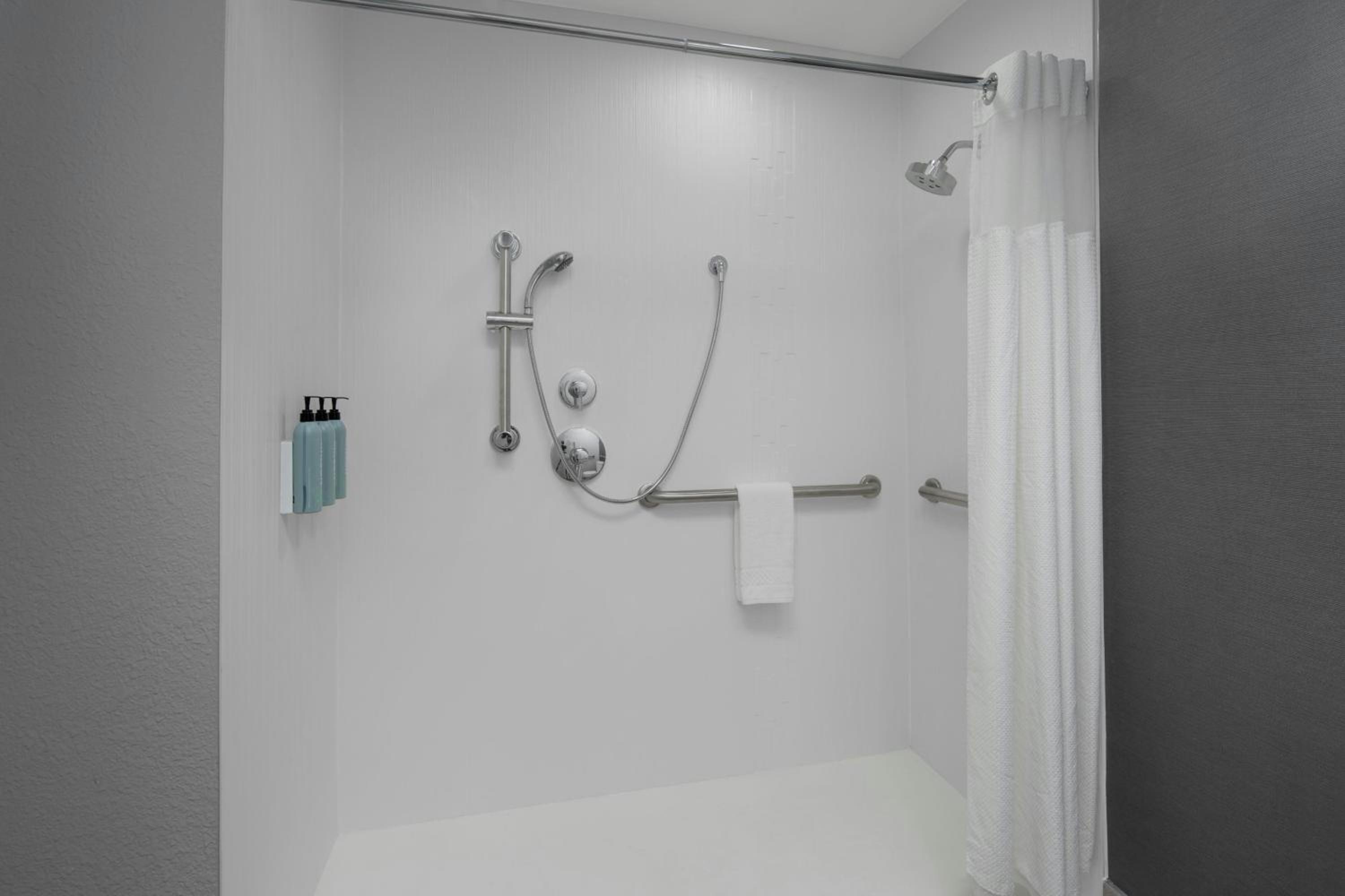 One-Bedroom King Suite with Roll-In Shower and Sofa Bed - Mobility Access