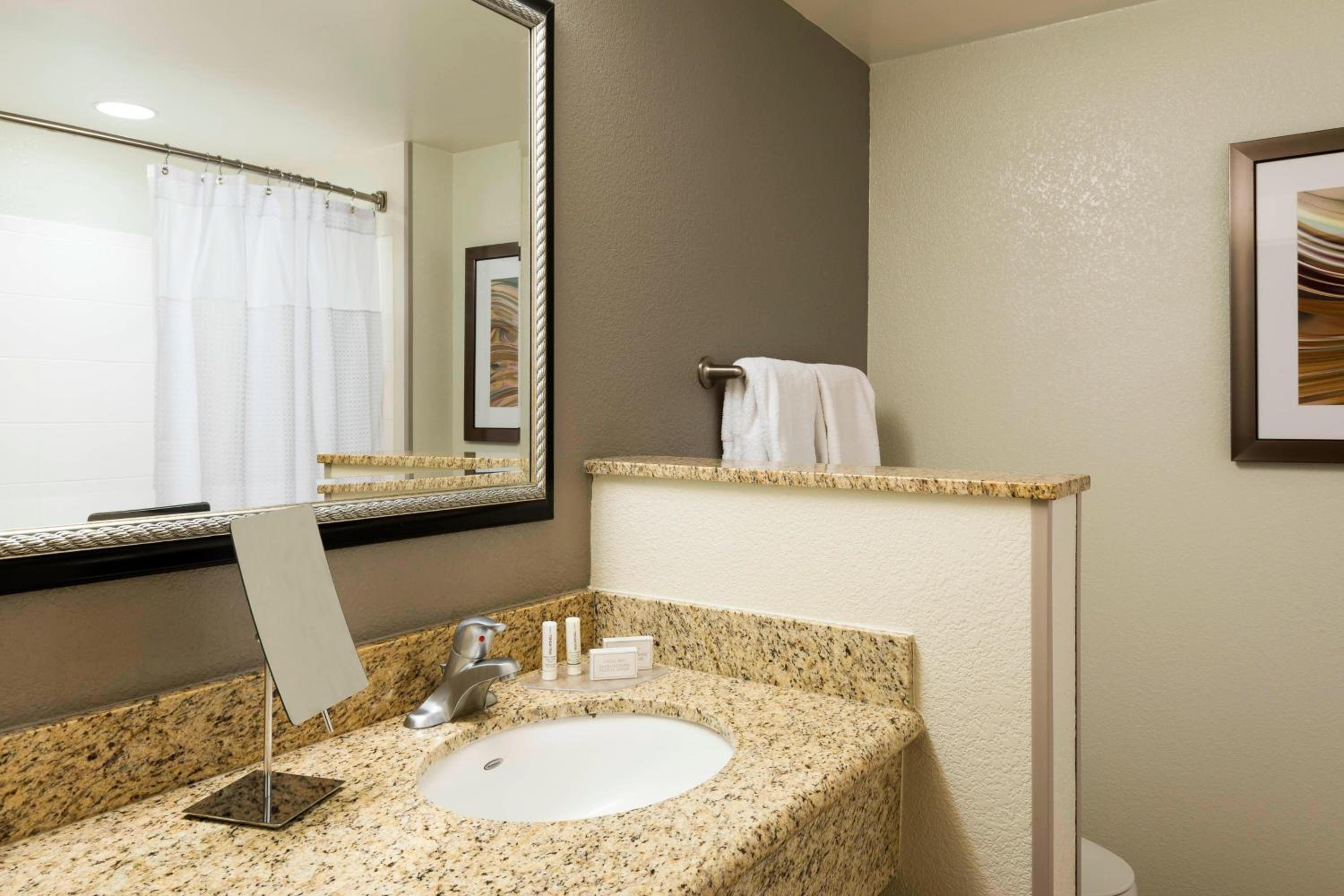 One-Bedroom King Suite with Sofa Bed