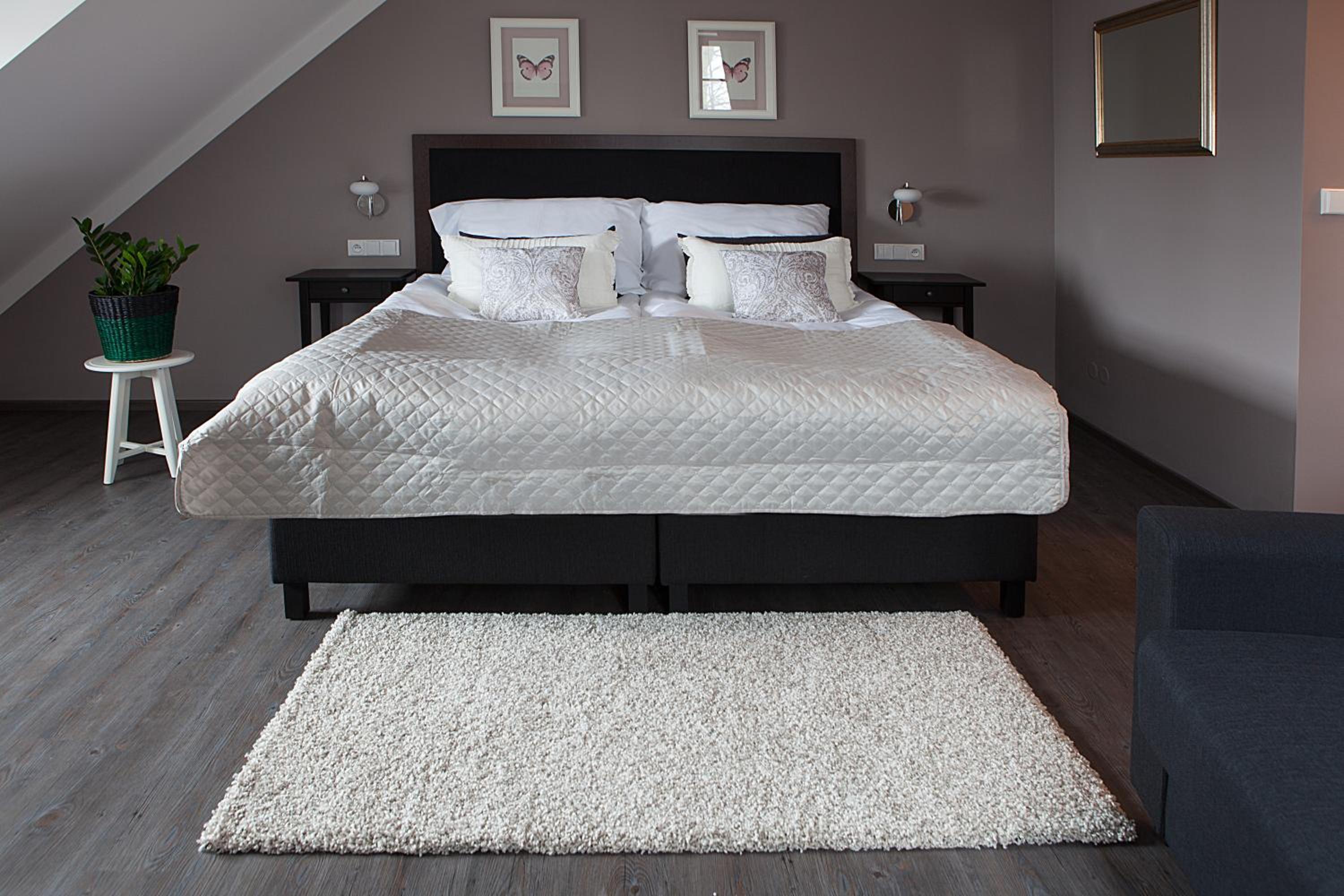 Comfort Double or Twin Room photo 1