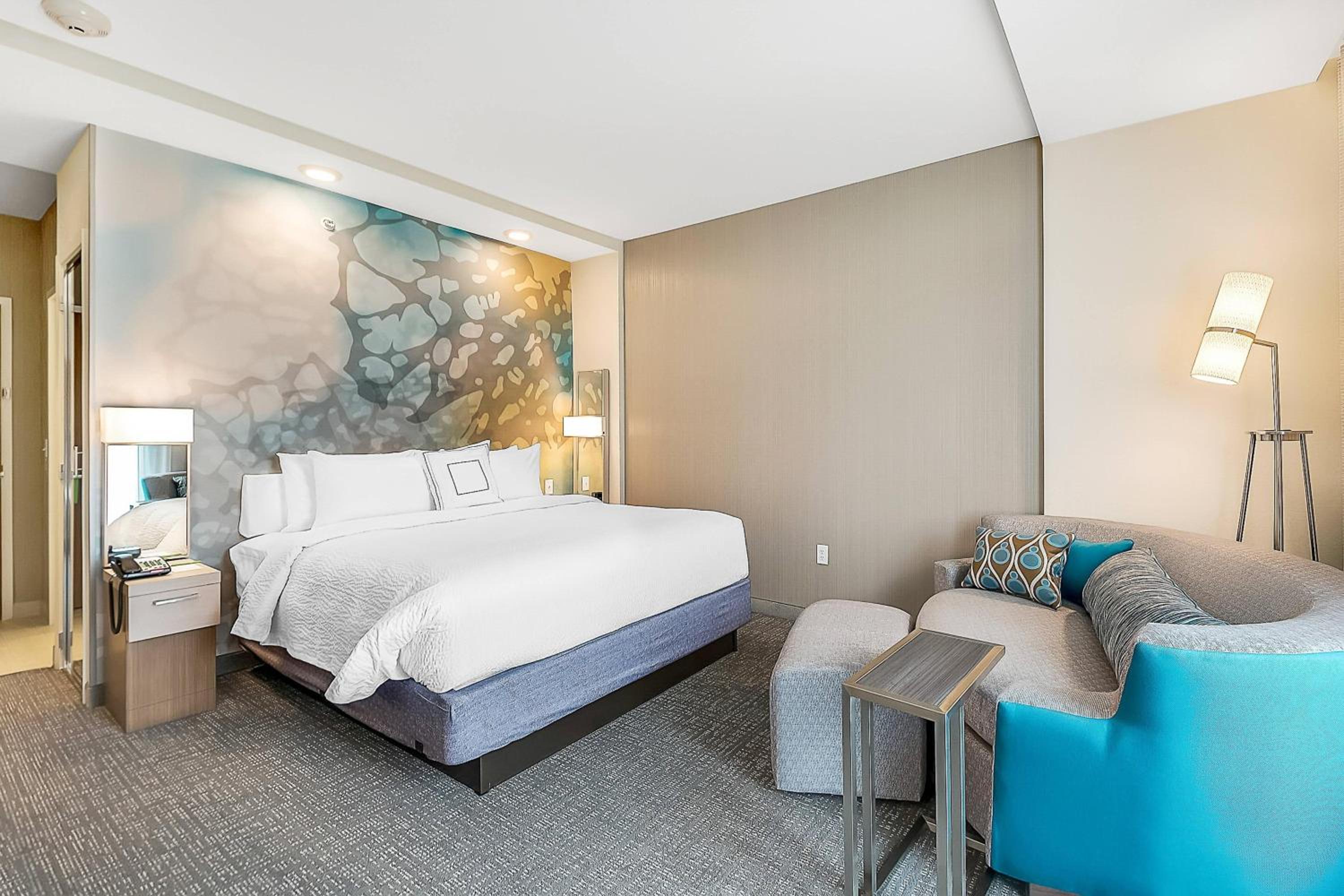 King Room with Sofa Bed and Roll-in Shower - Mobility and Hearing Accessible photo 1