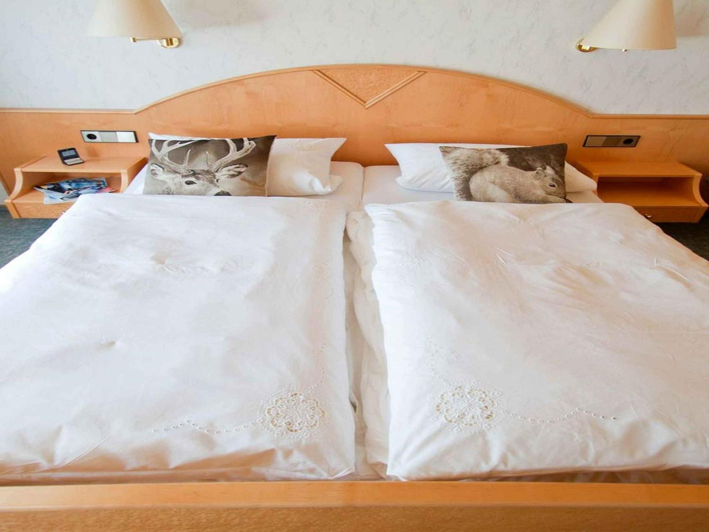 Superior One-Bedroom Apartment with Balcony photo 2