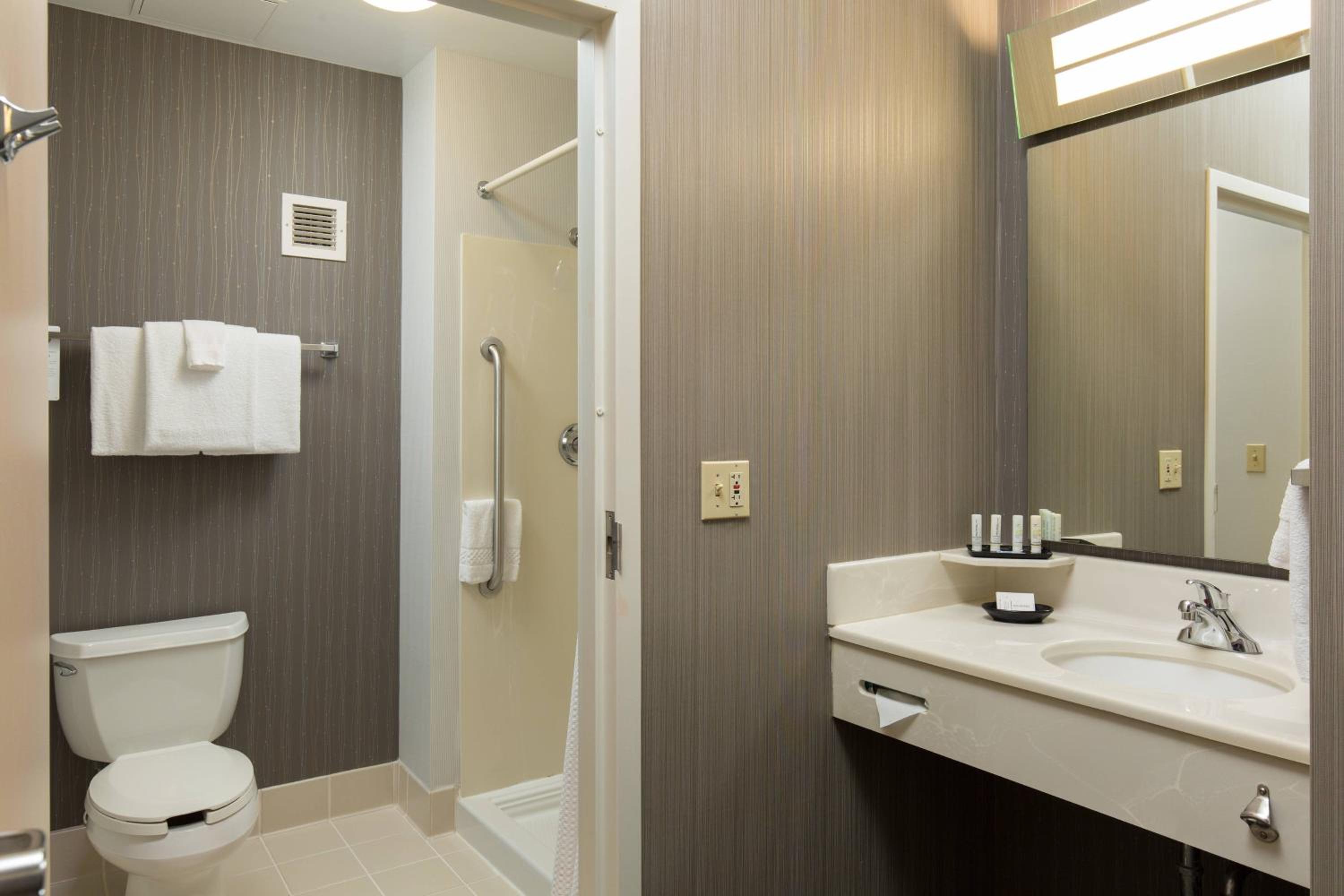 King Room with Stand Up Shower and Sofa Bed - Mobility Accessible