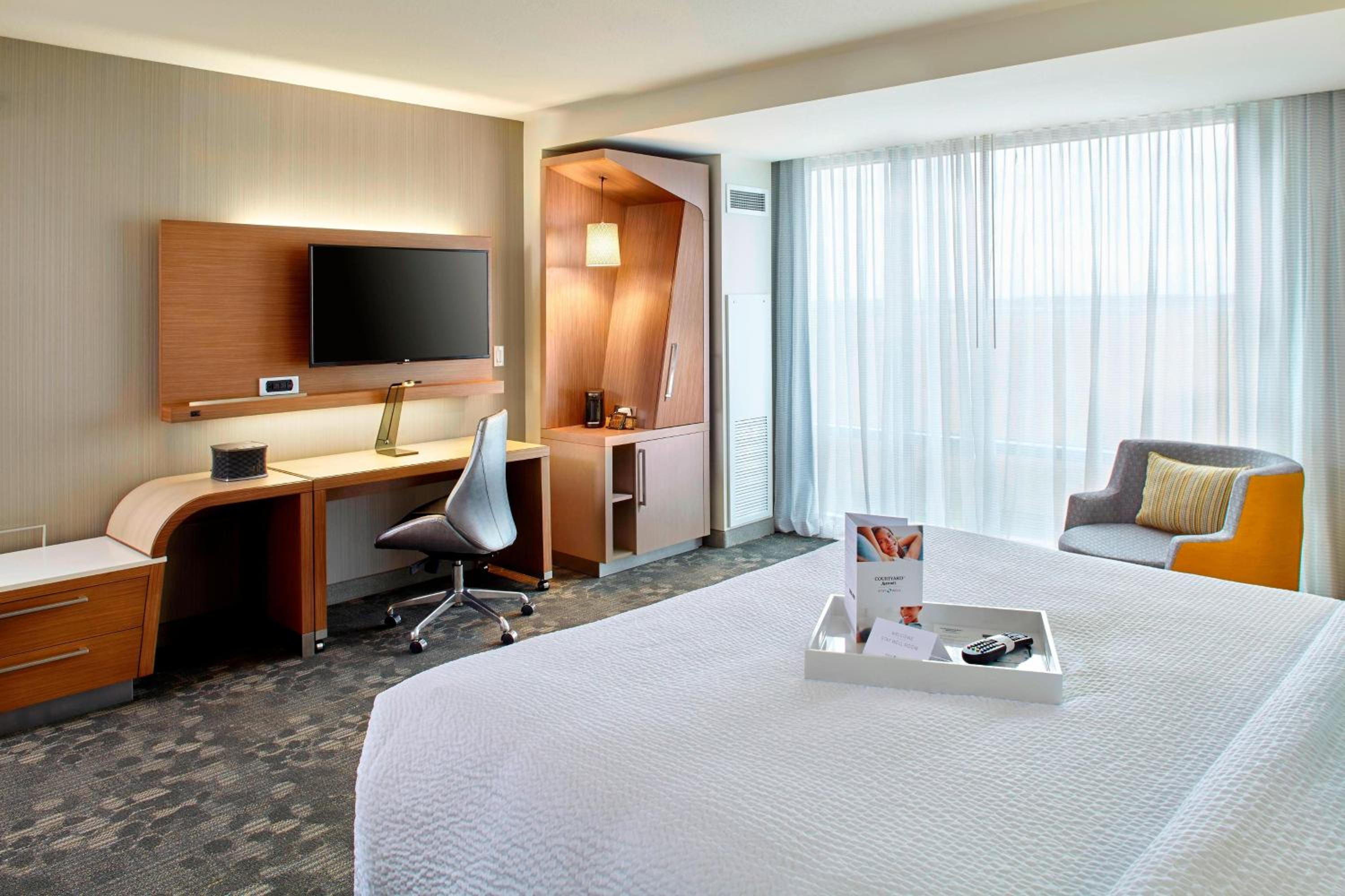 Suite, 1 King Bed with Sofa bed