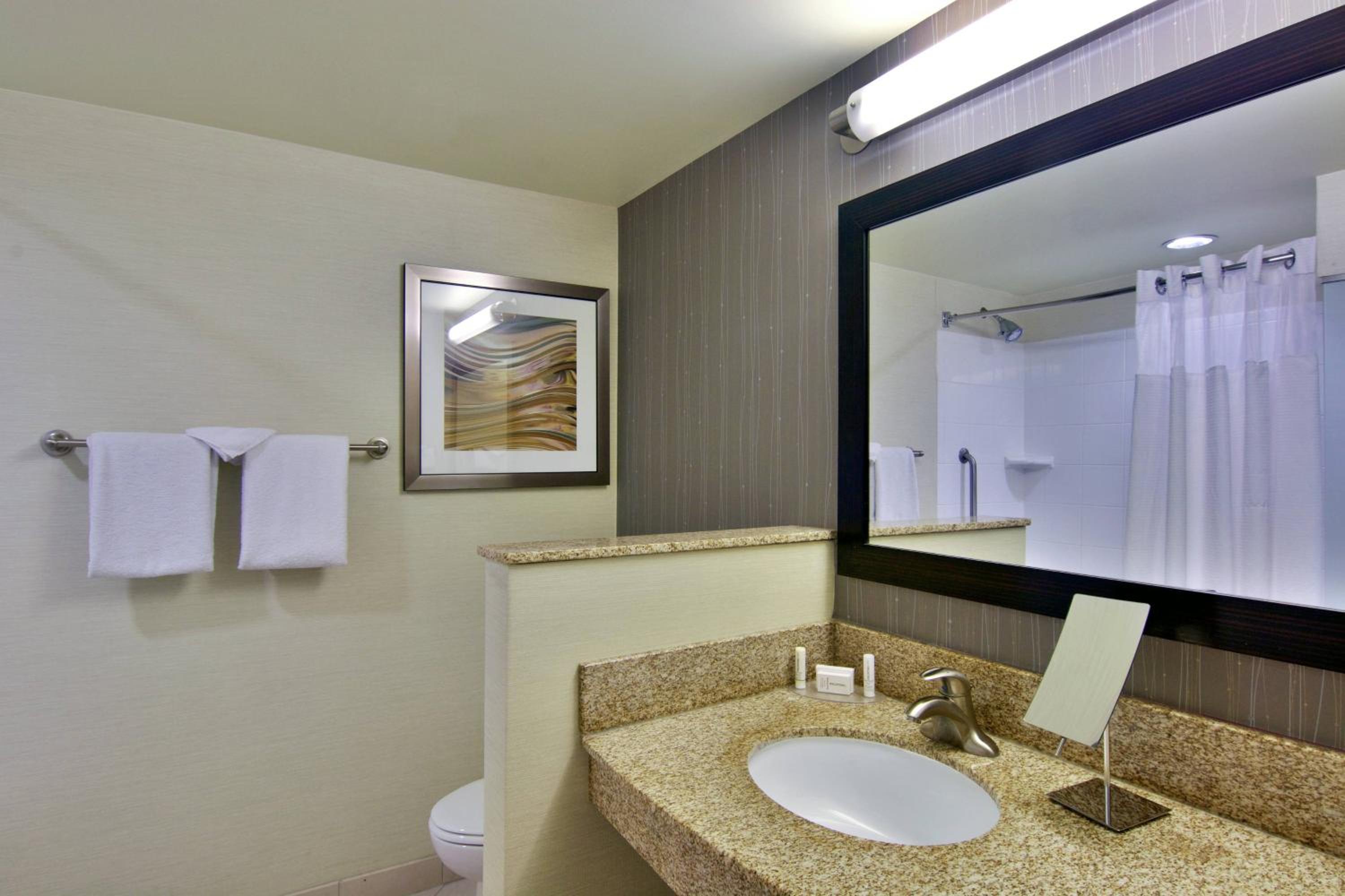 King Room with Sofa Bed and Roll-in Shower - Mobility and Hearing Accessible photo 3