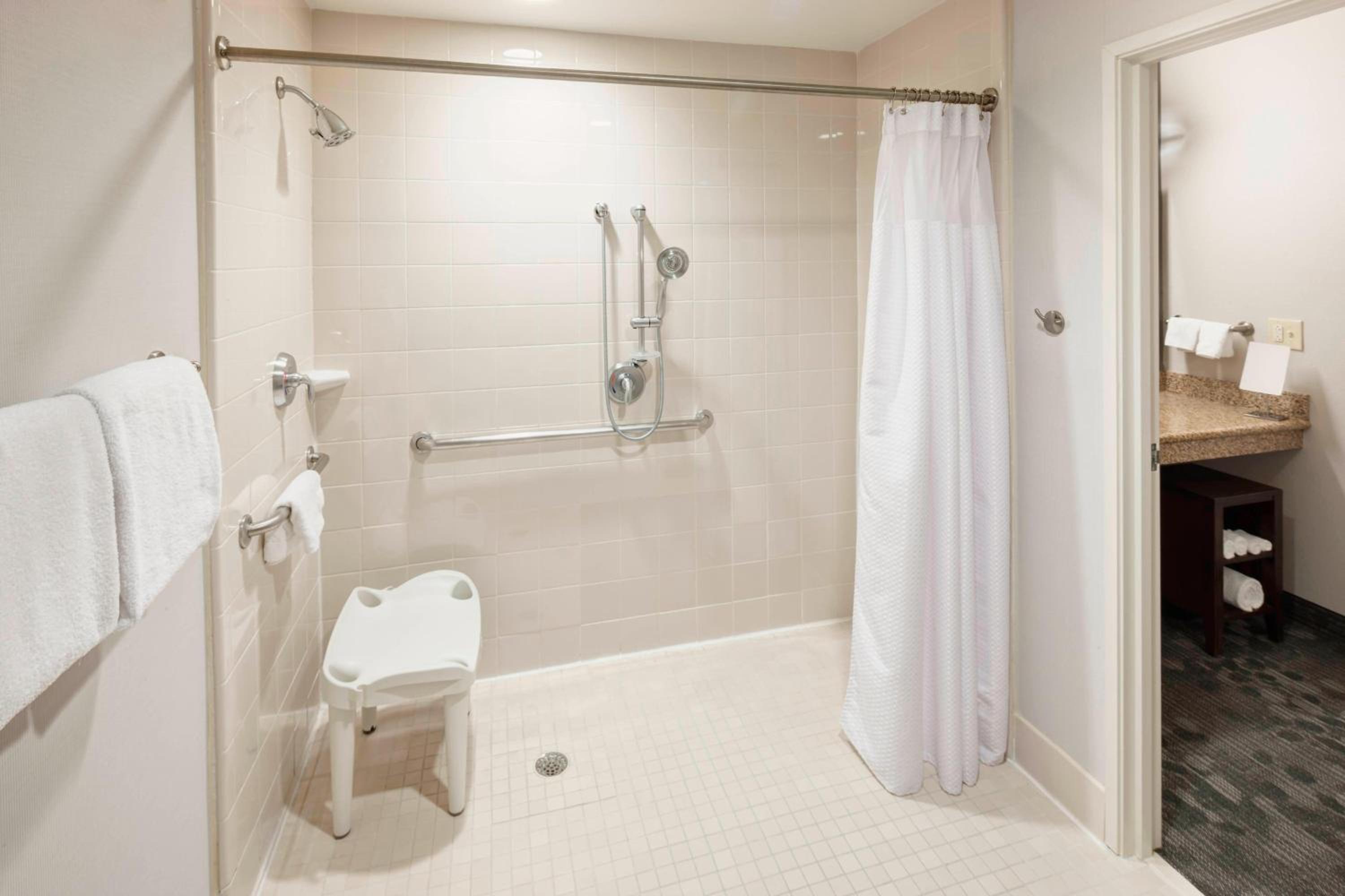 One-Bedroom King Suite with Roll-In Shower and Sofa Bed - Mobility Access - Photo 6