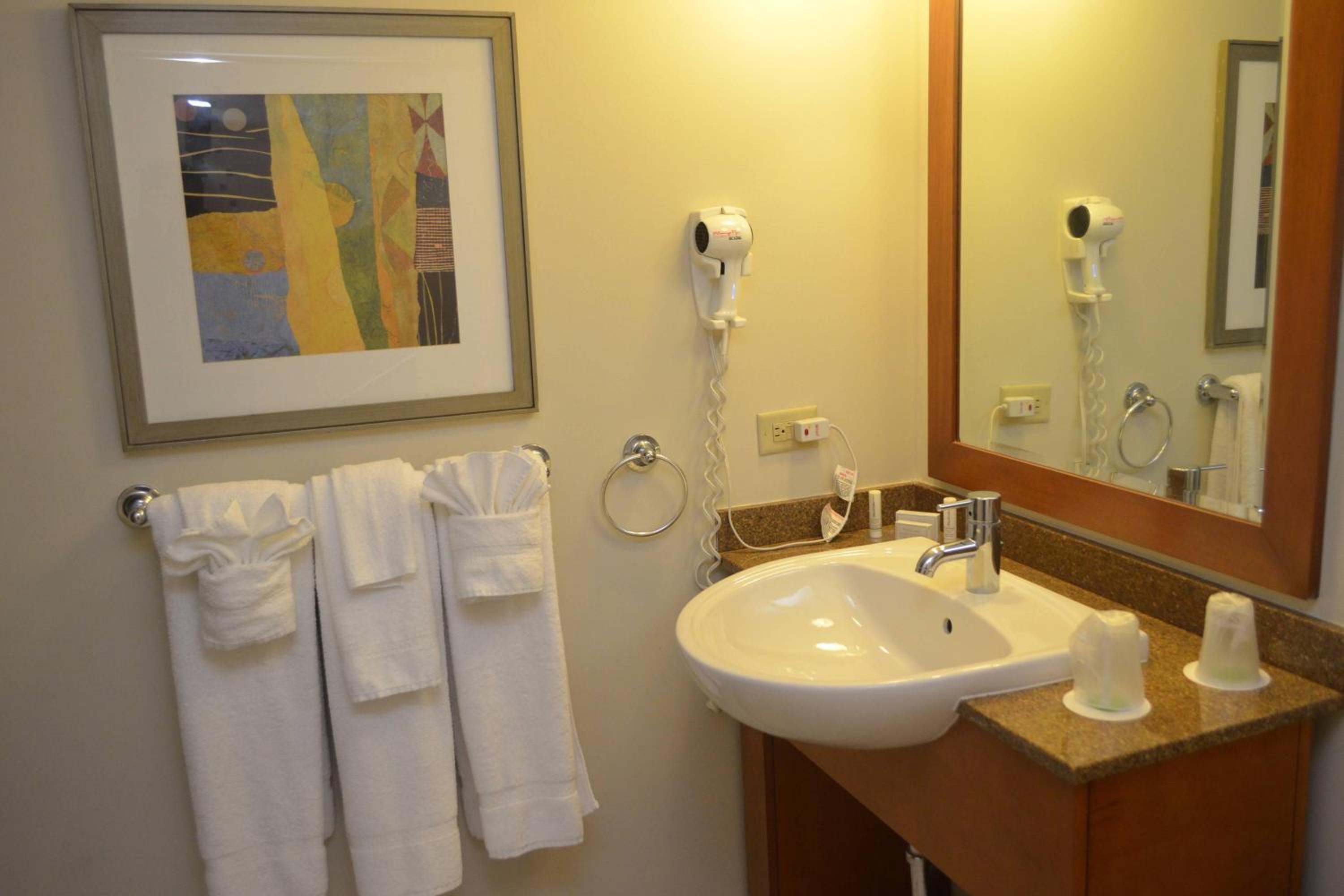 King Room with Roll-in Shower - Mobility Accessible photo 3