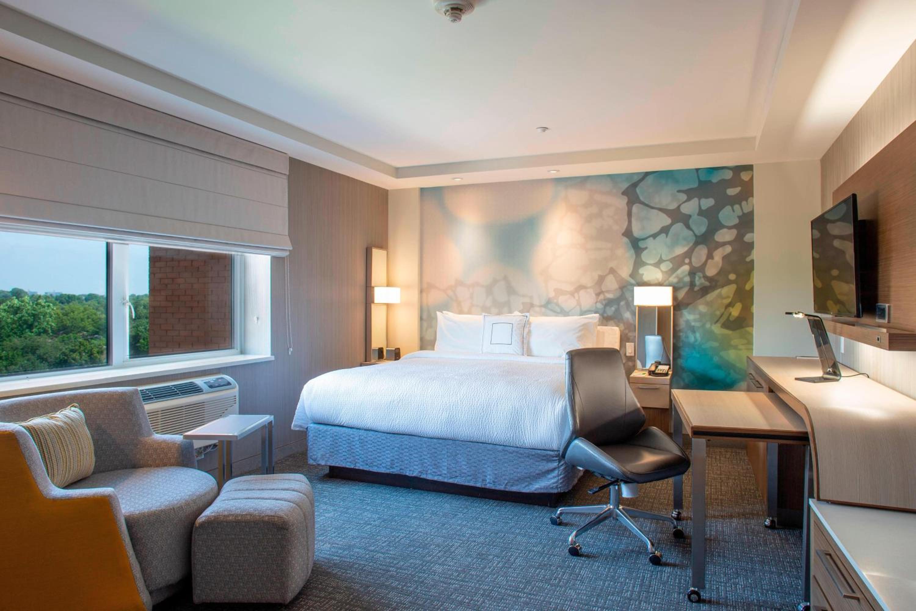 King Room with Roll-In Shower - Mobility Access/Hearing Accessible, photo 6