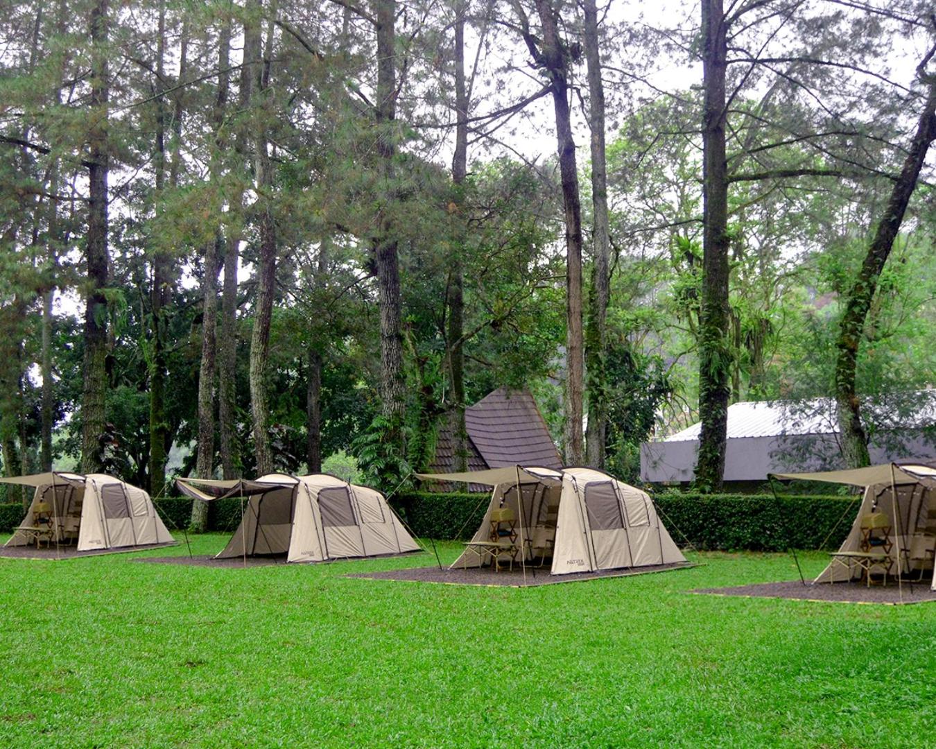 Tent (2 Adults) photo 3