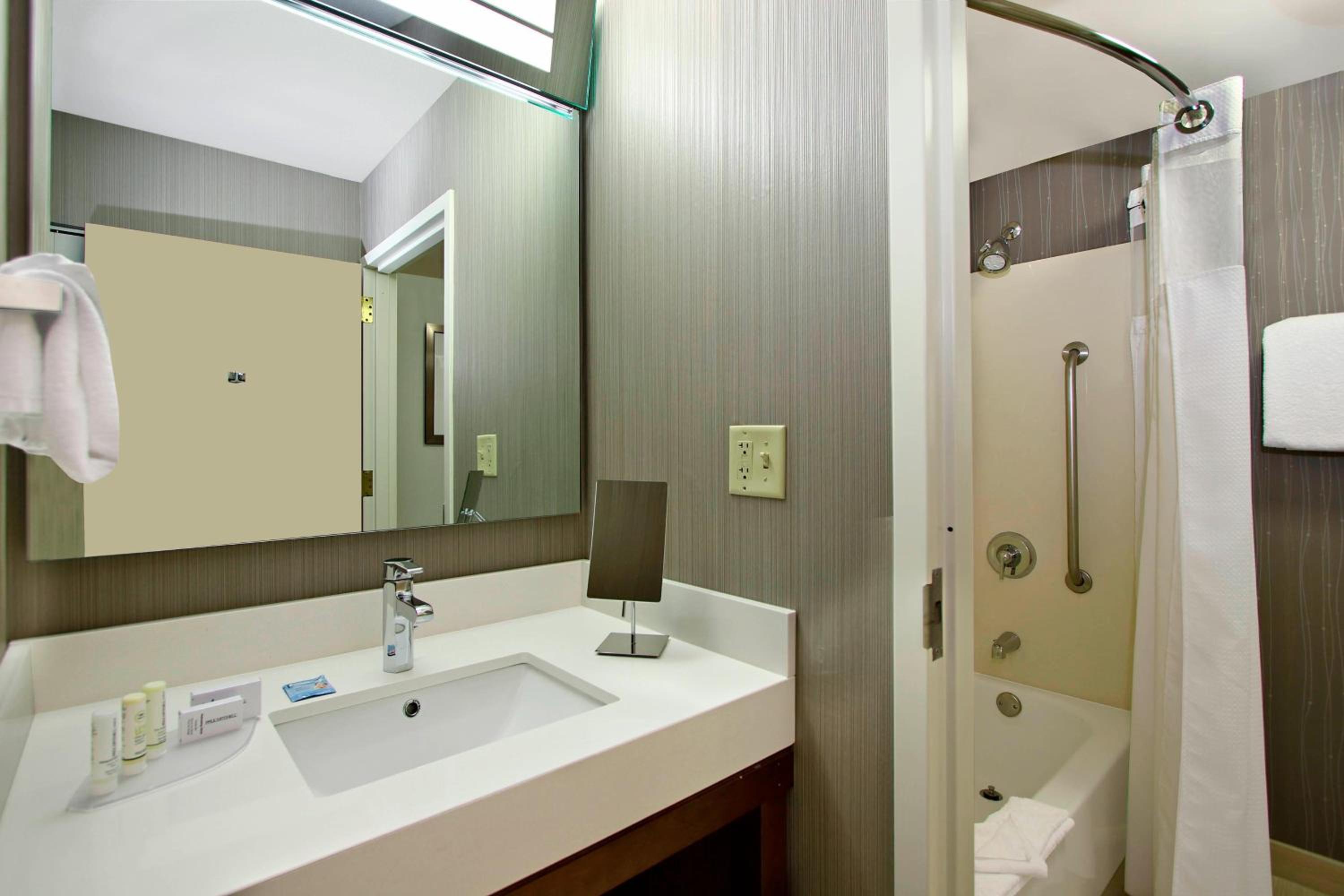 King Suite with Sofa Bed photo 2