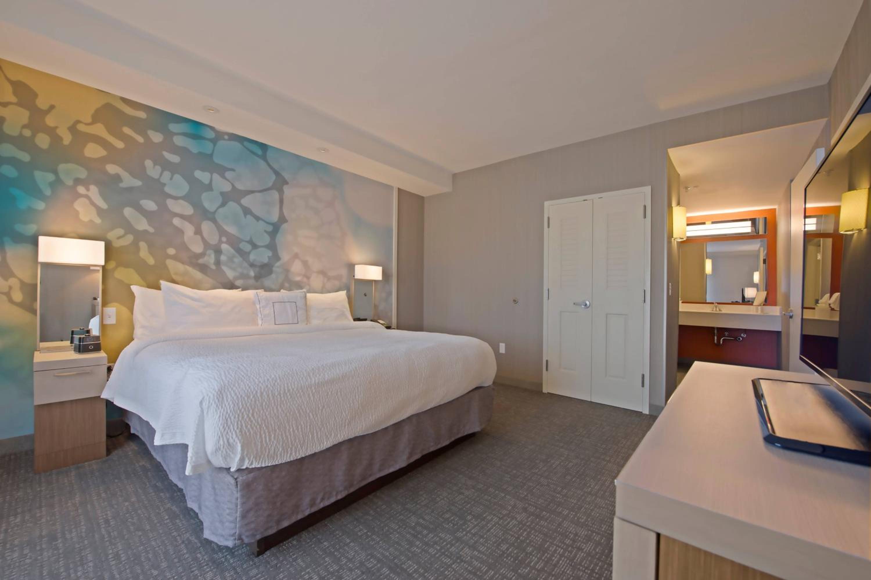 One-Bedroom King Suite with Roll-In Shower and Sofa Bed - Mobility Access/Hearing Accessible photo 2