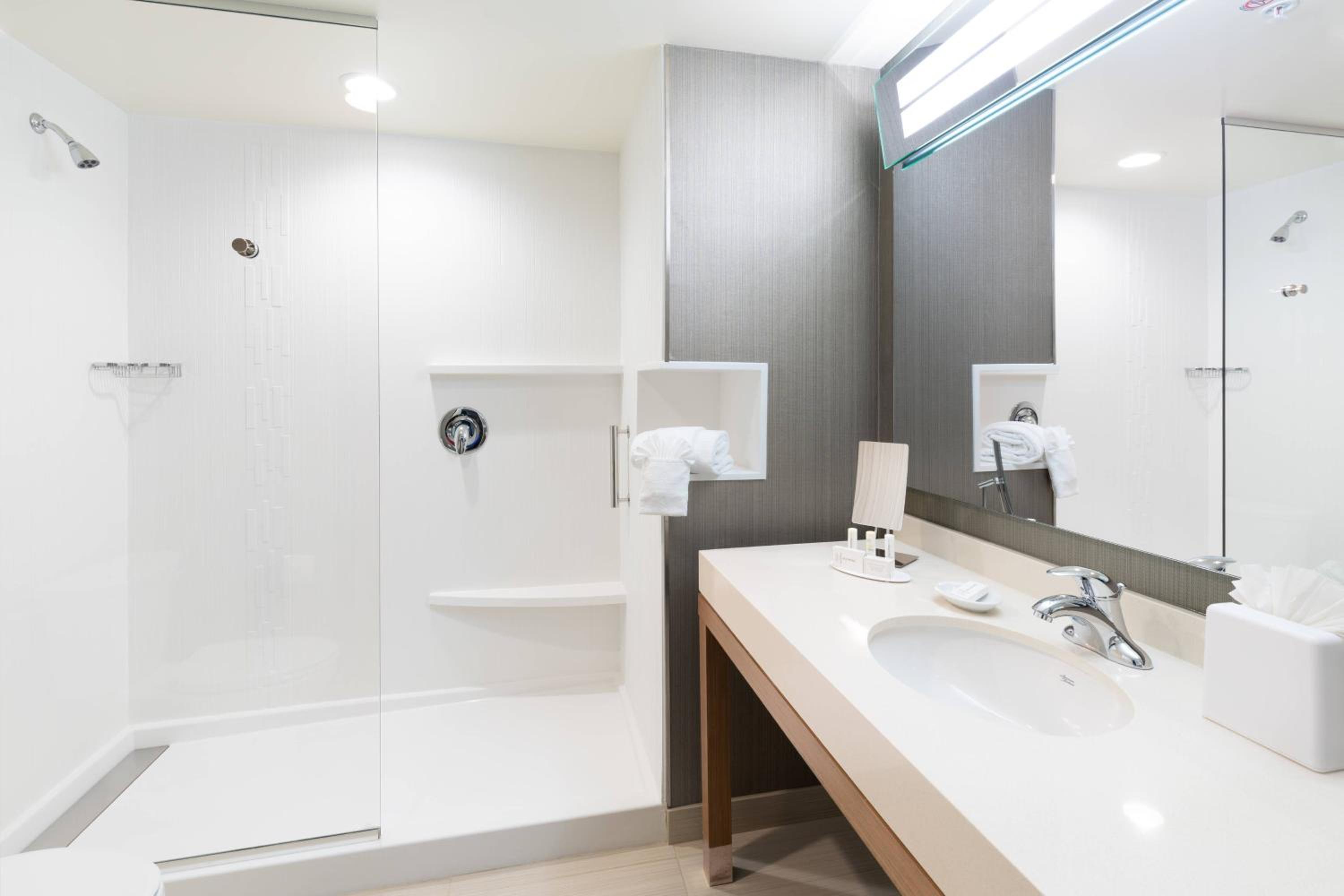 King Room with Bathtub - Mobility Access/Hearing Accessible photo 2