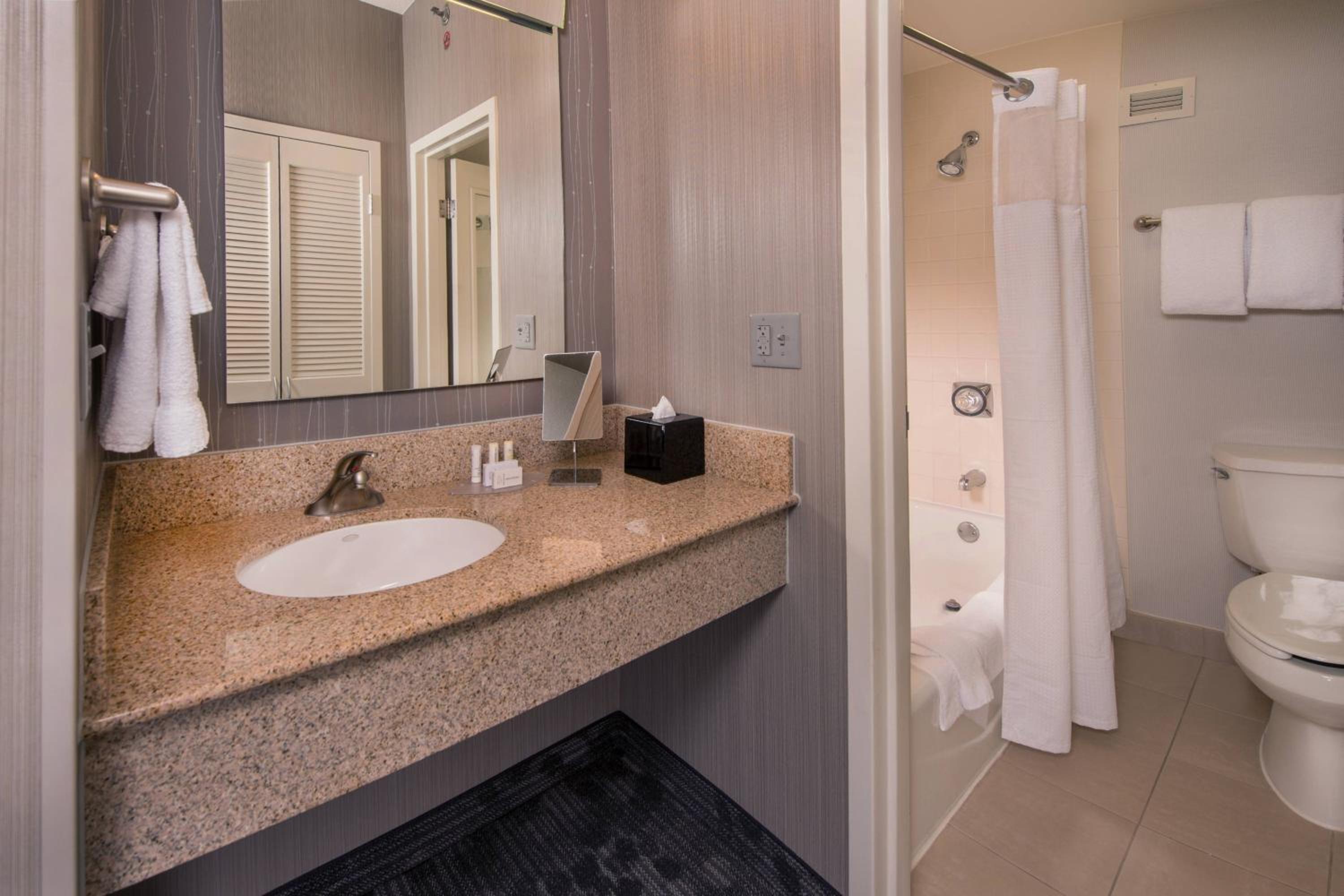 King Suite with Sofa Bed - Photo 4
