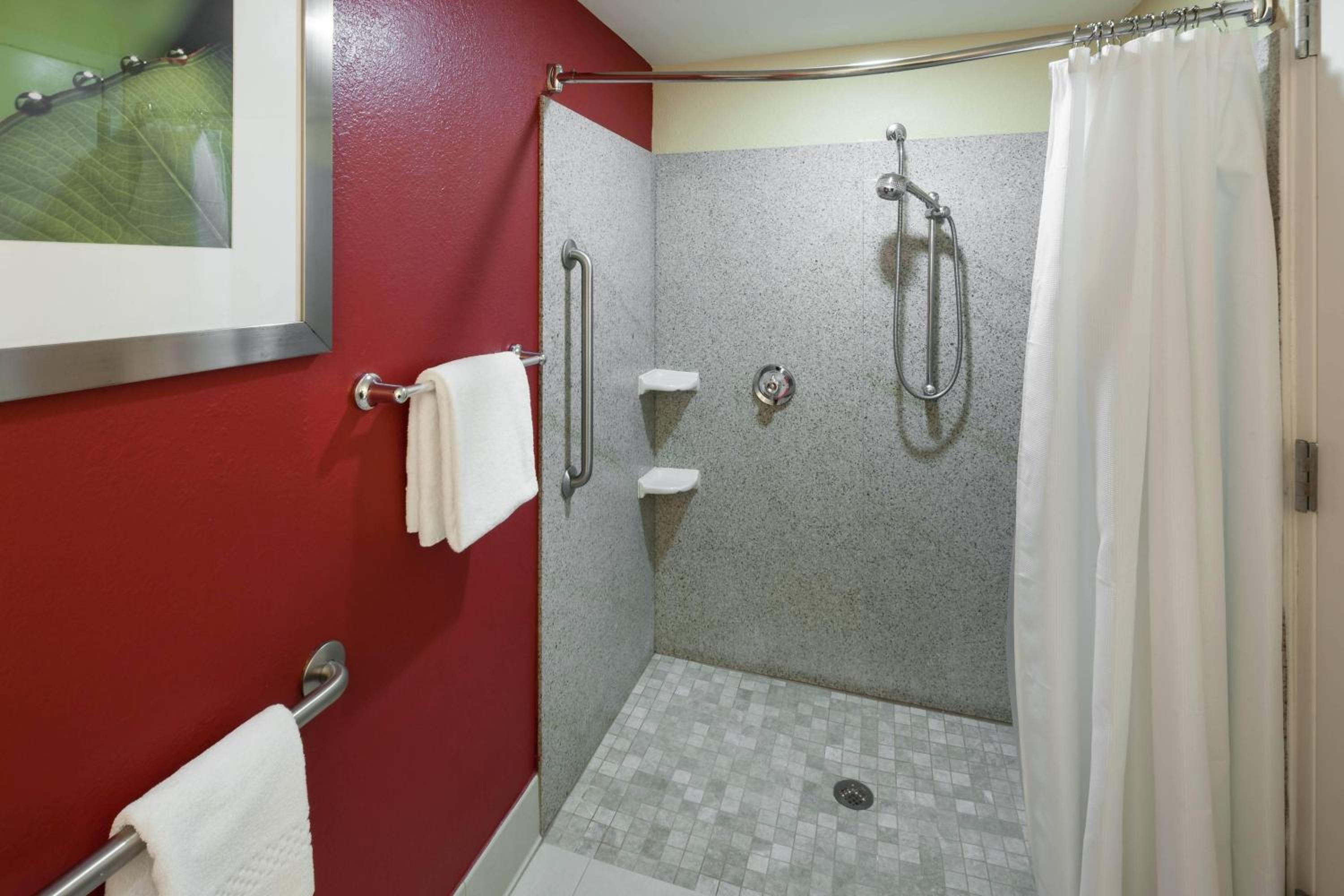 King Room with Sofa Bed and Roll-in Shower - Mobility Accessible