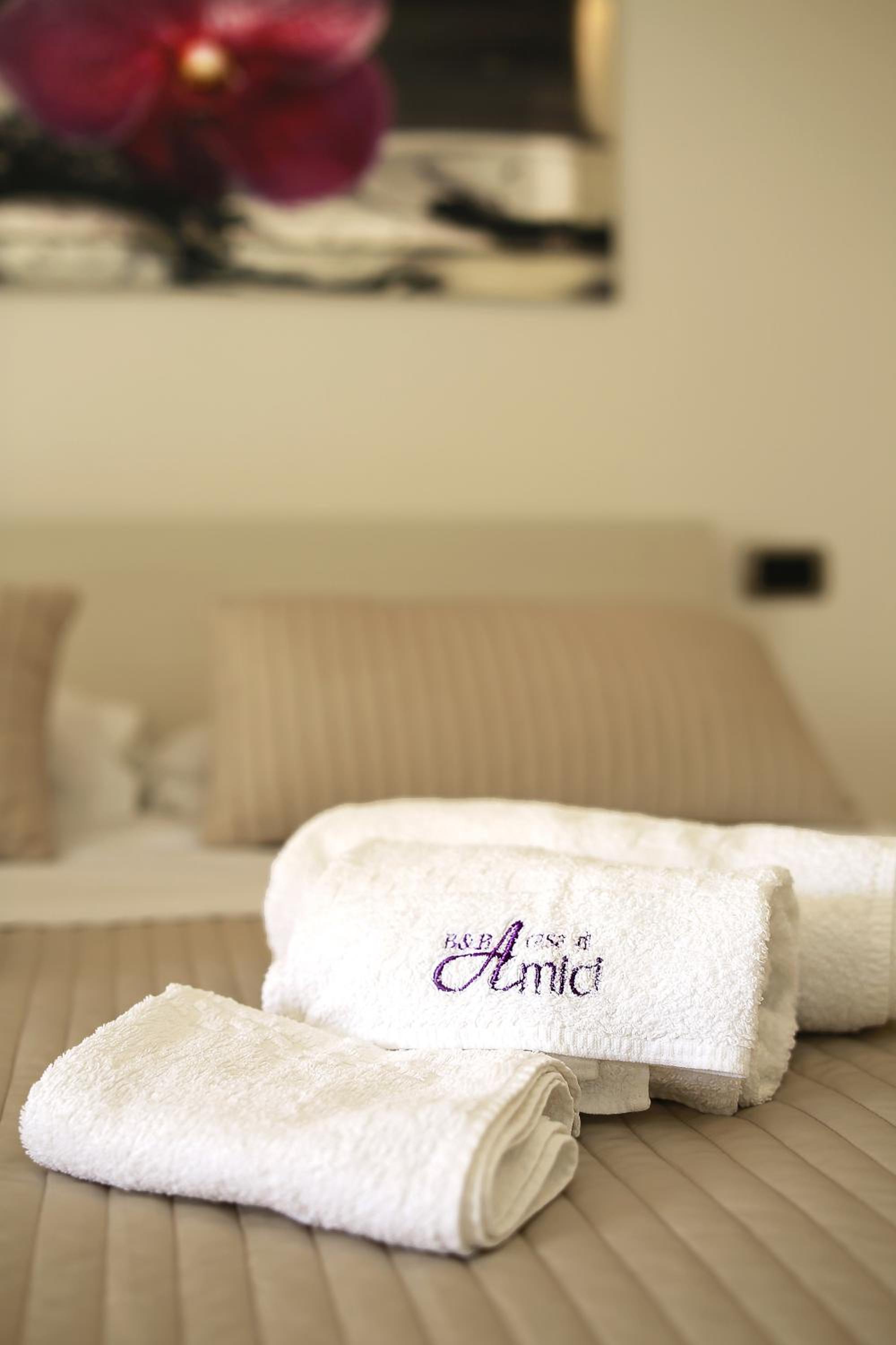 Double or Twin Room with Terrace photo 2