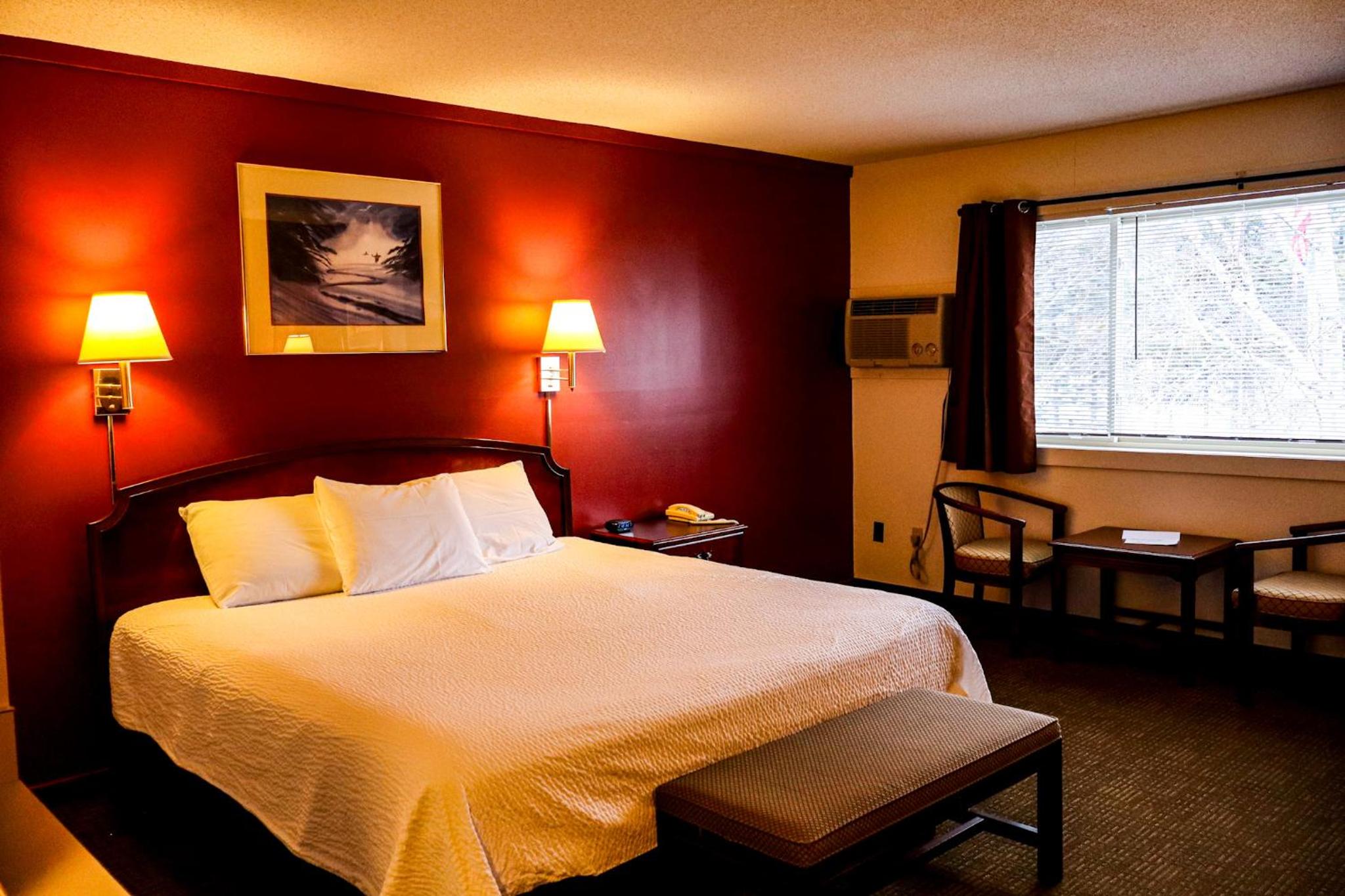 Modern King Room