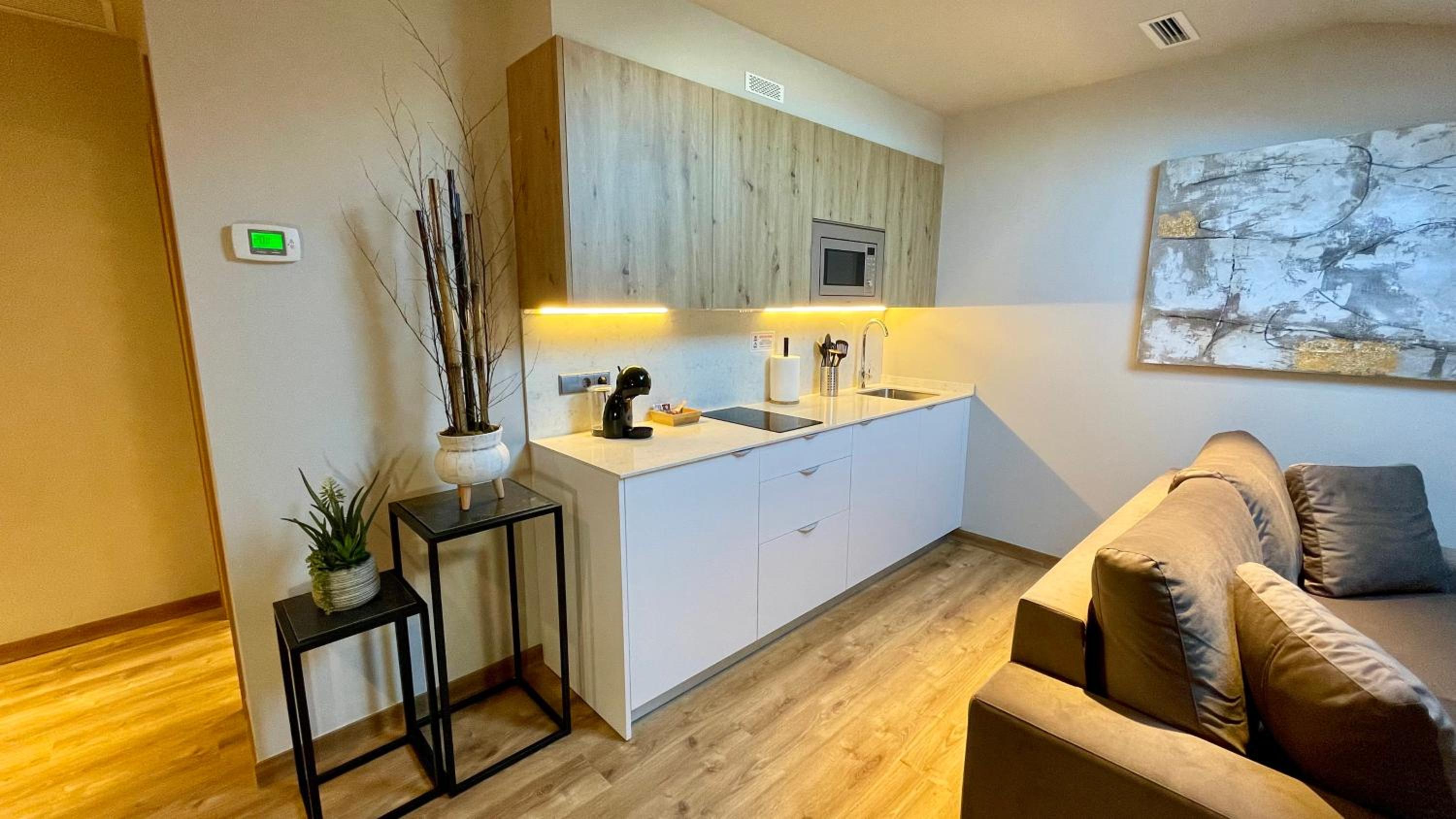 One-Bedroom Apartment with Spa Bath