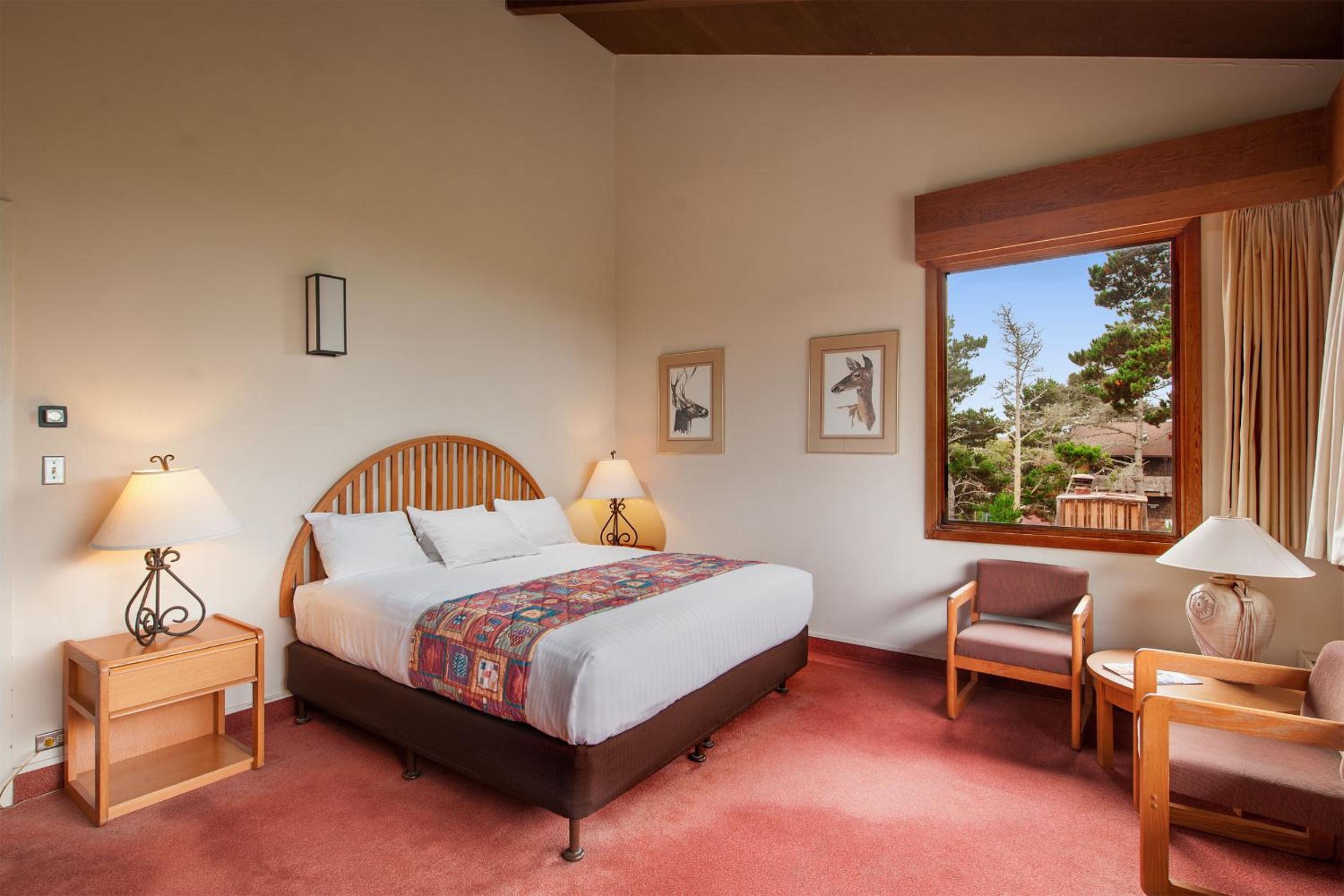 Standard King Room - Photo 4