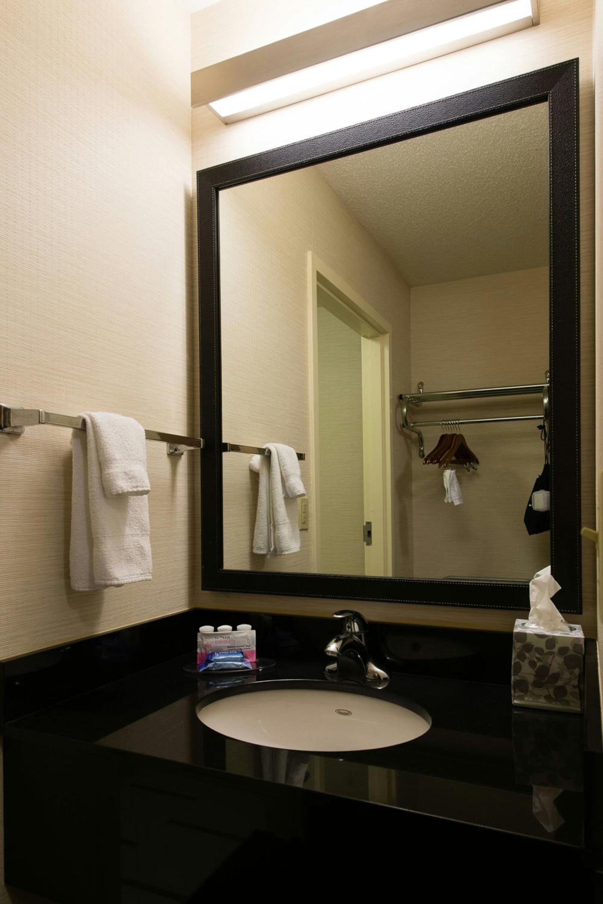 King Room with Roll-in Shower - Mobility and Hearing Accessible - Photo 4