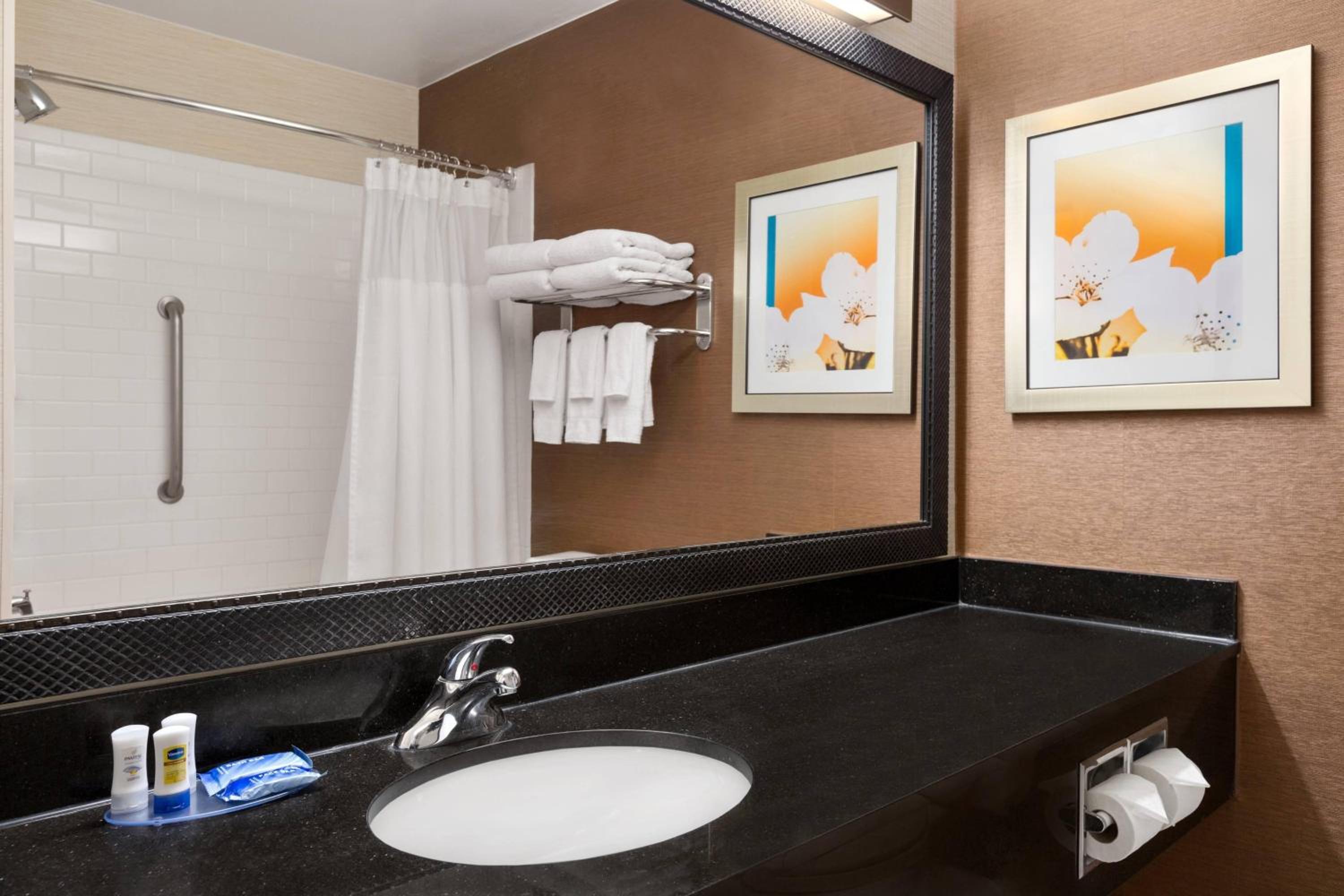 Queen Room - Mobility and Hearing Accessible with Roll-in Shower - Photo 3
