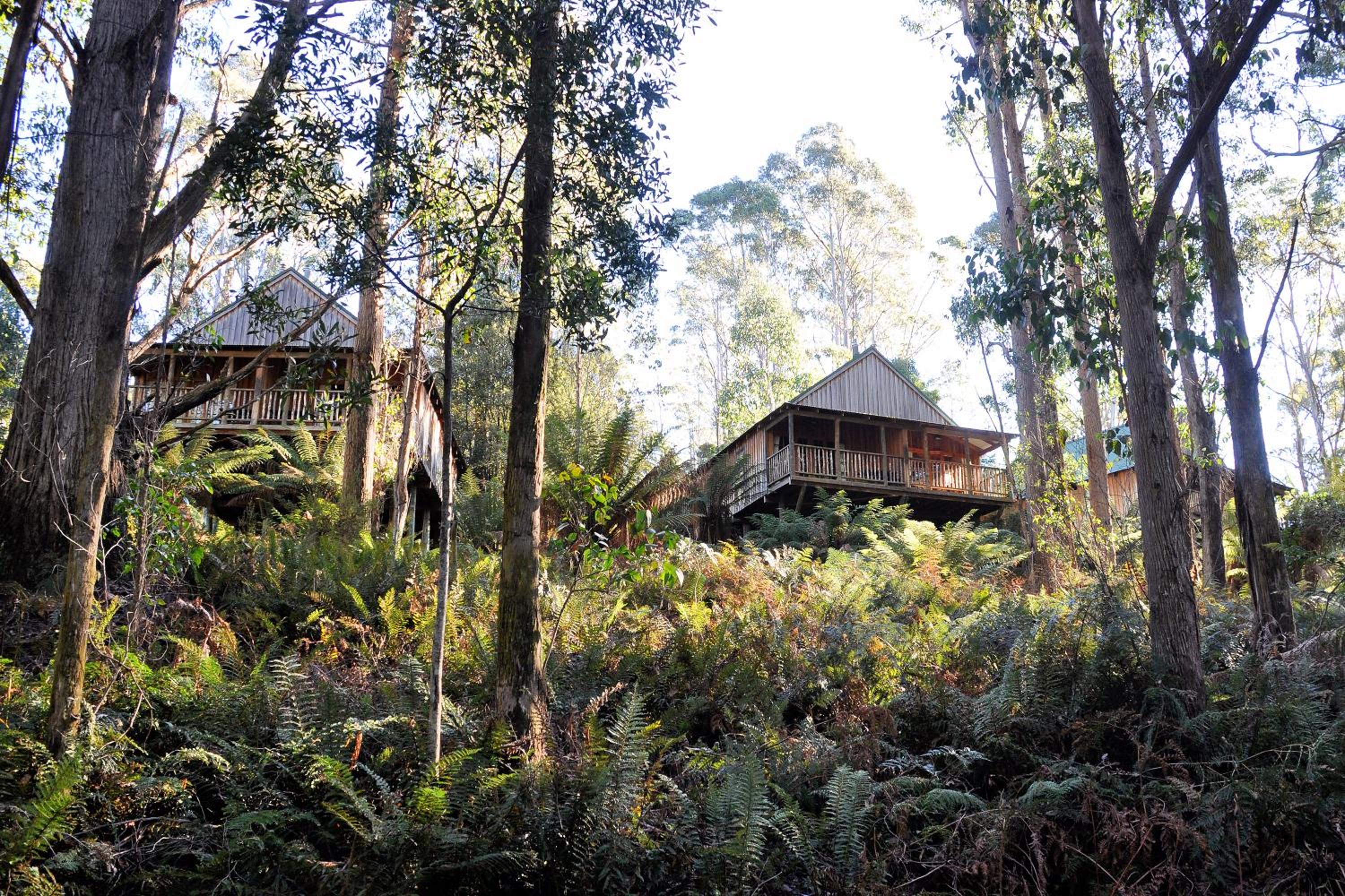 Wilderness Chalet with Spa Bath photo 2