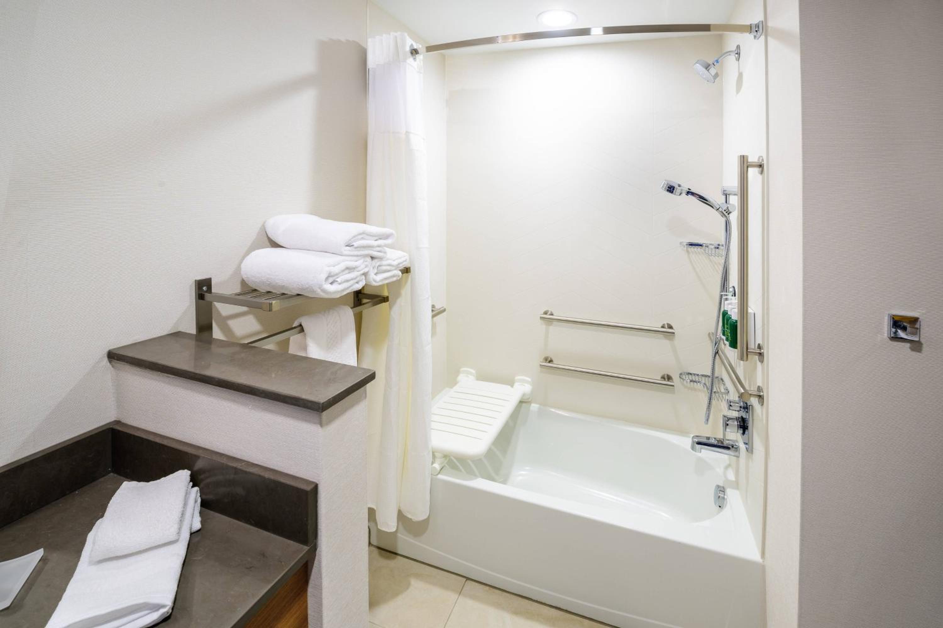 Large King Studio with Sofa Bed and Roll-In Shower - Mobility Accessible
