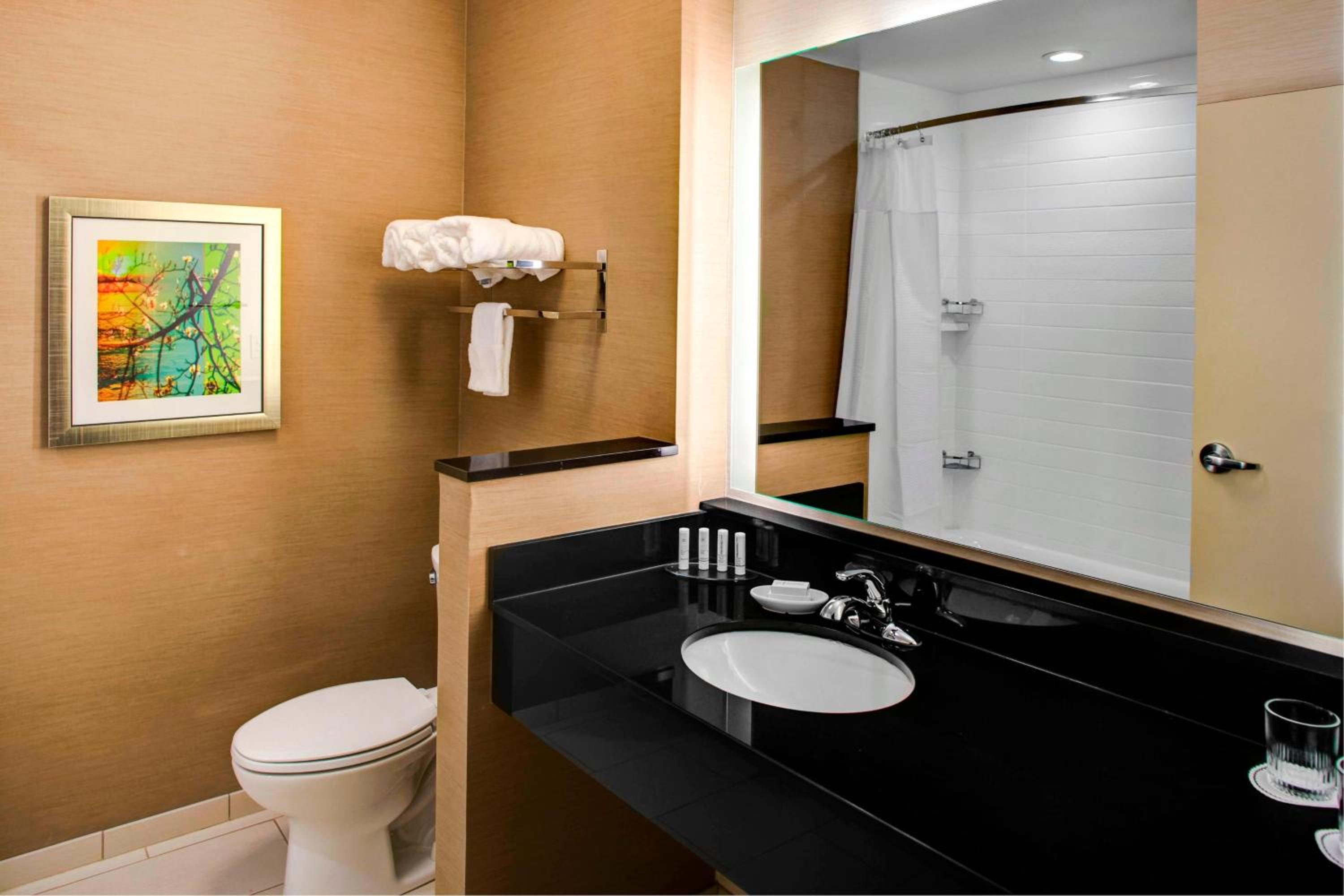 King Suite with Sofa Bed