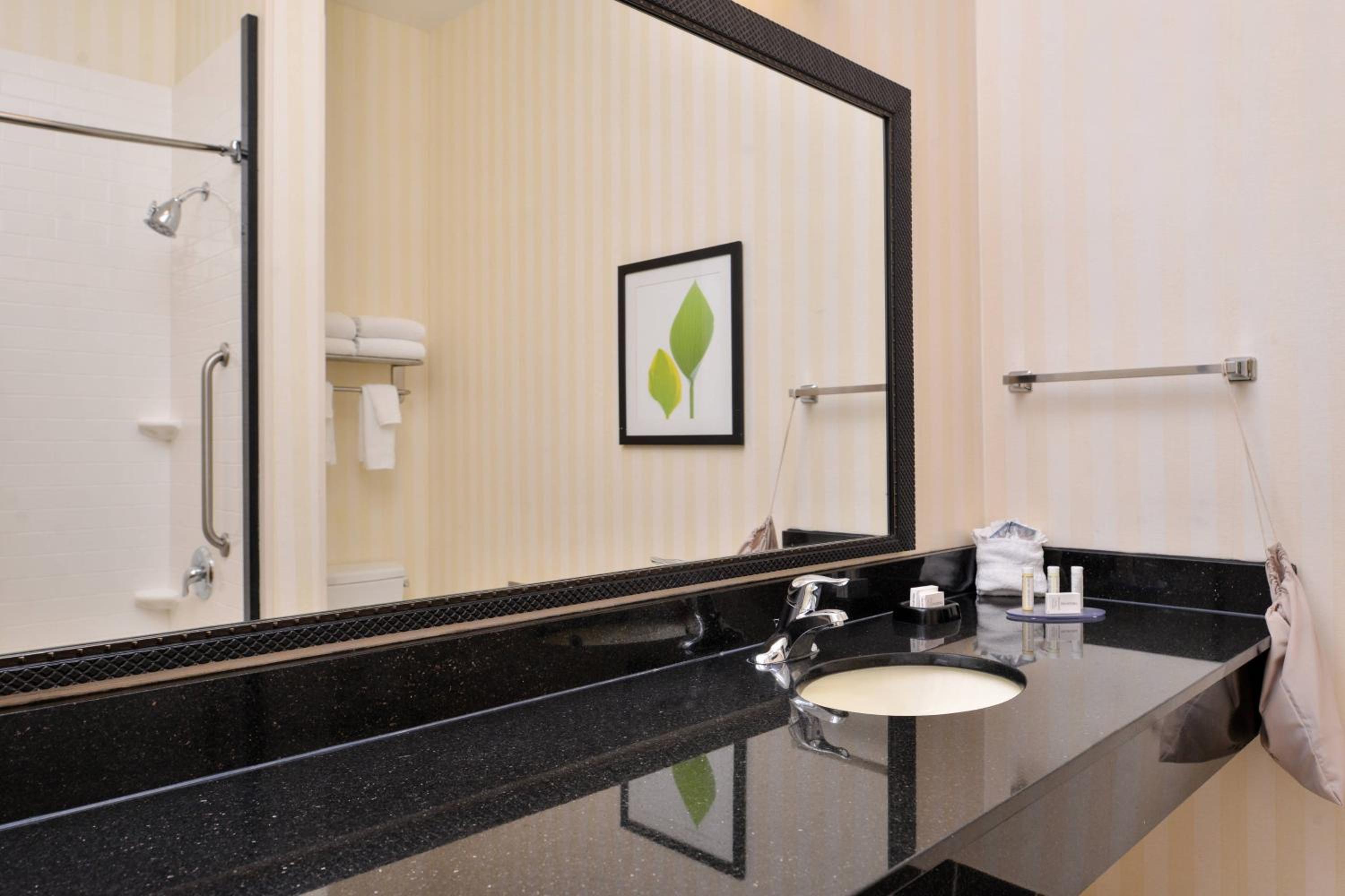 King Suite with Sofa Bed - Hearing Accessible - Photo 3