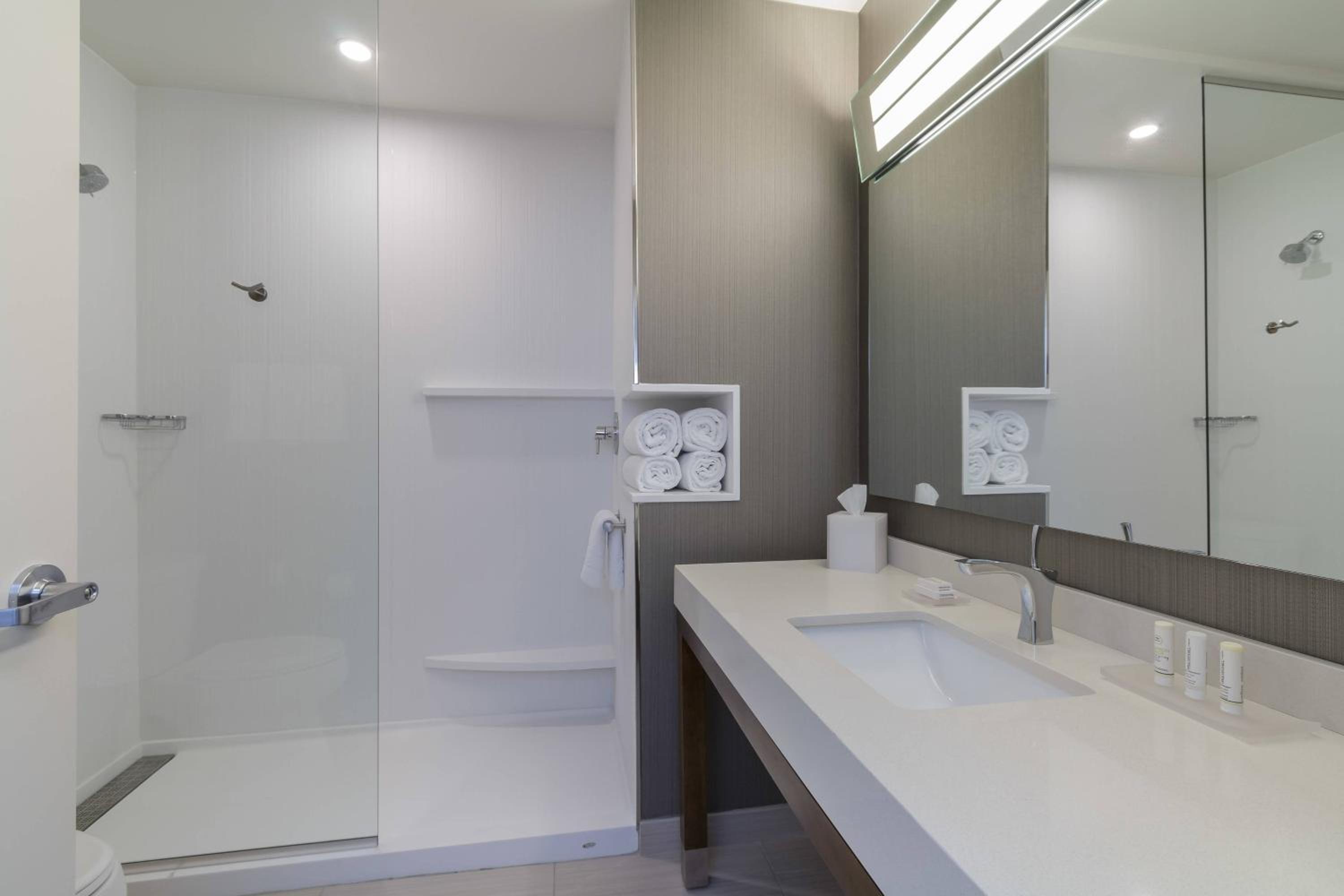 King Room with Sofa Bed and Roll-in Shower - Mobility Accessible