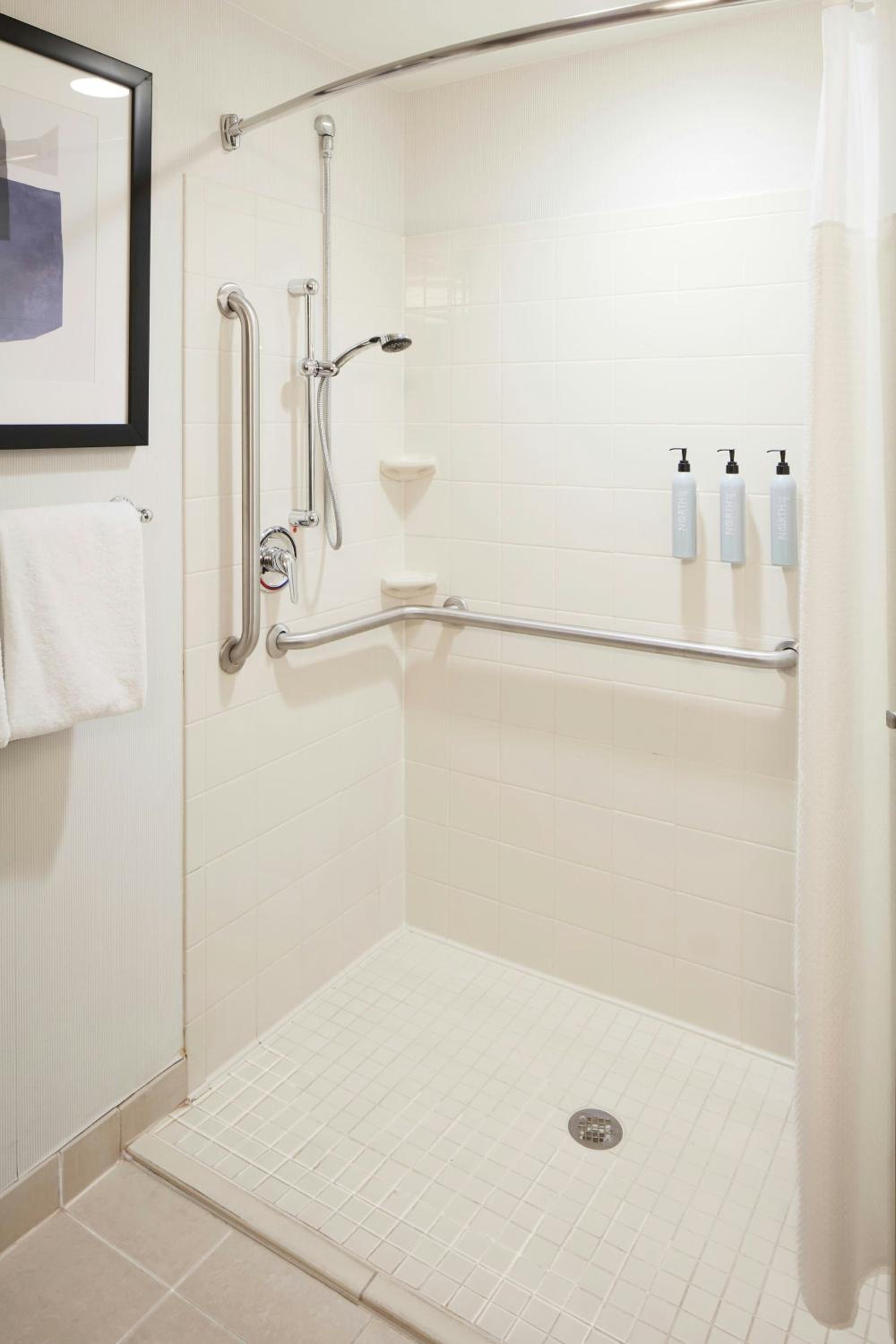 King Room with Sofa Bed and Roll-in Shower - Mobility and Hearing Accessible photo 3