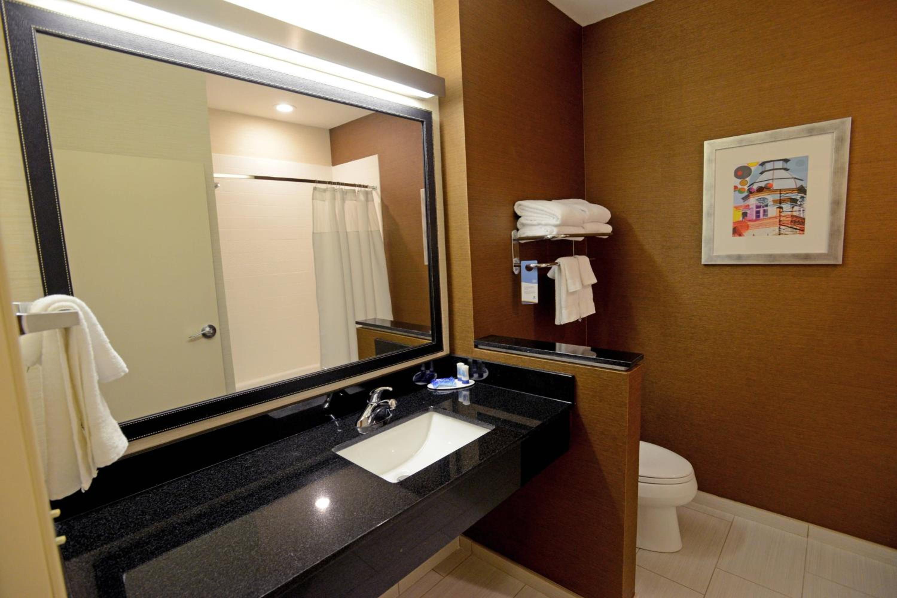 King Room with Roll-In Shower - Mobility Accessible photo 3