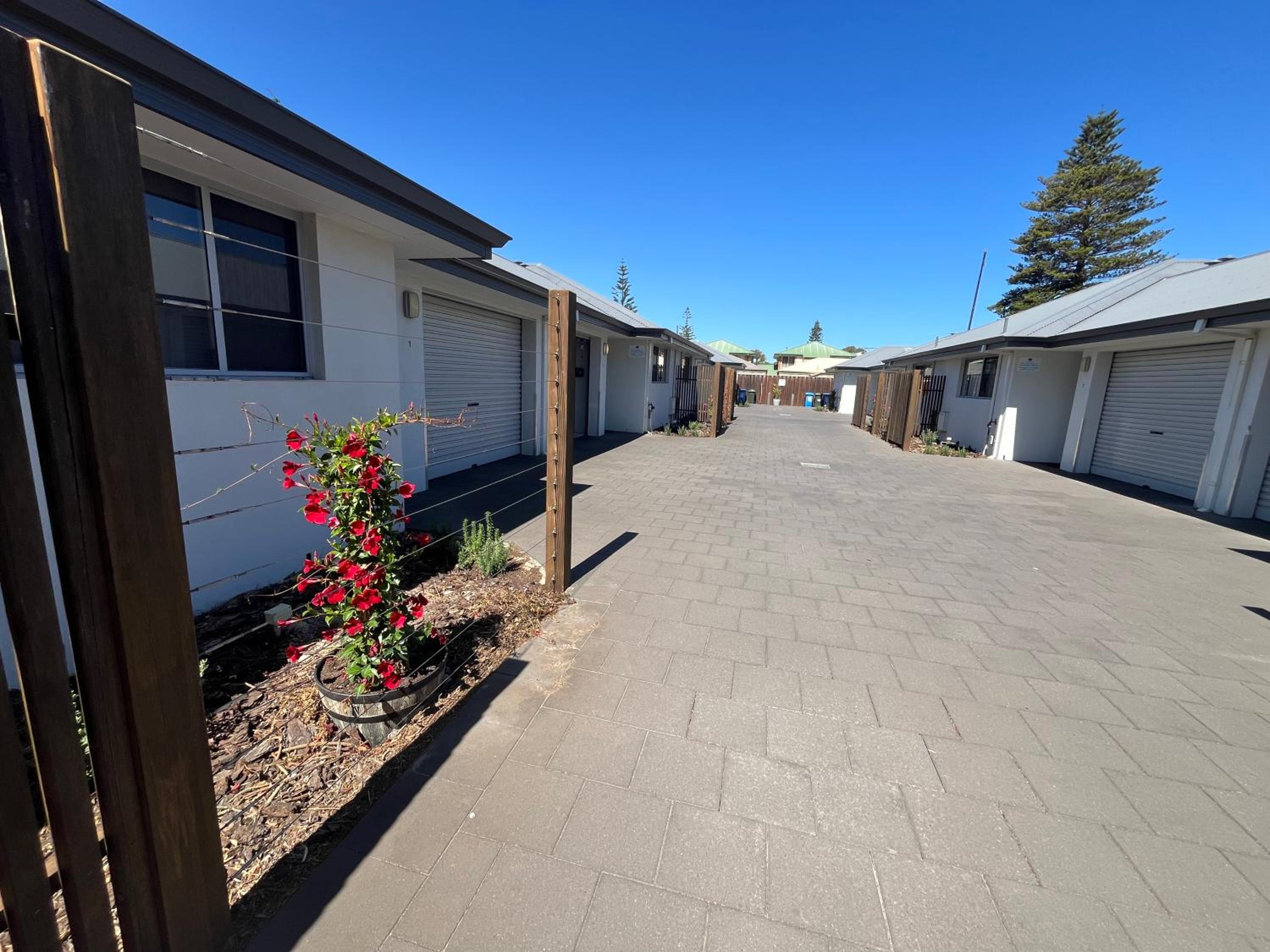 Superior King Apartment - Adult Guest Accommodations only photo 3