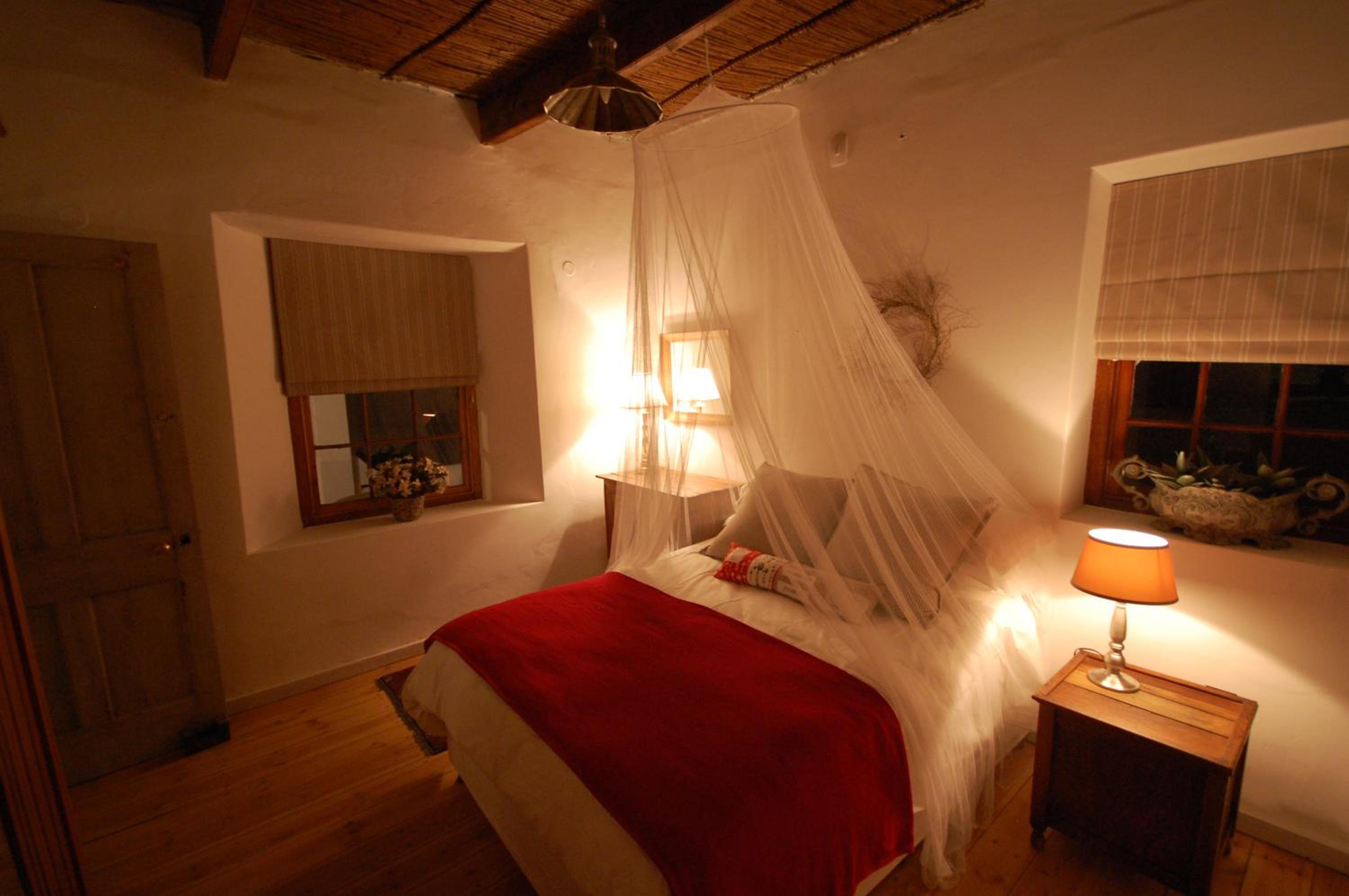 One-Bedroom Apartment - Aloe