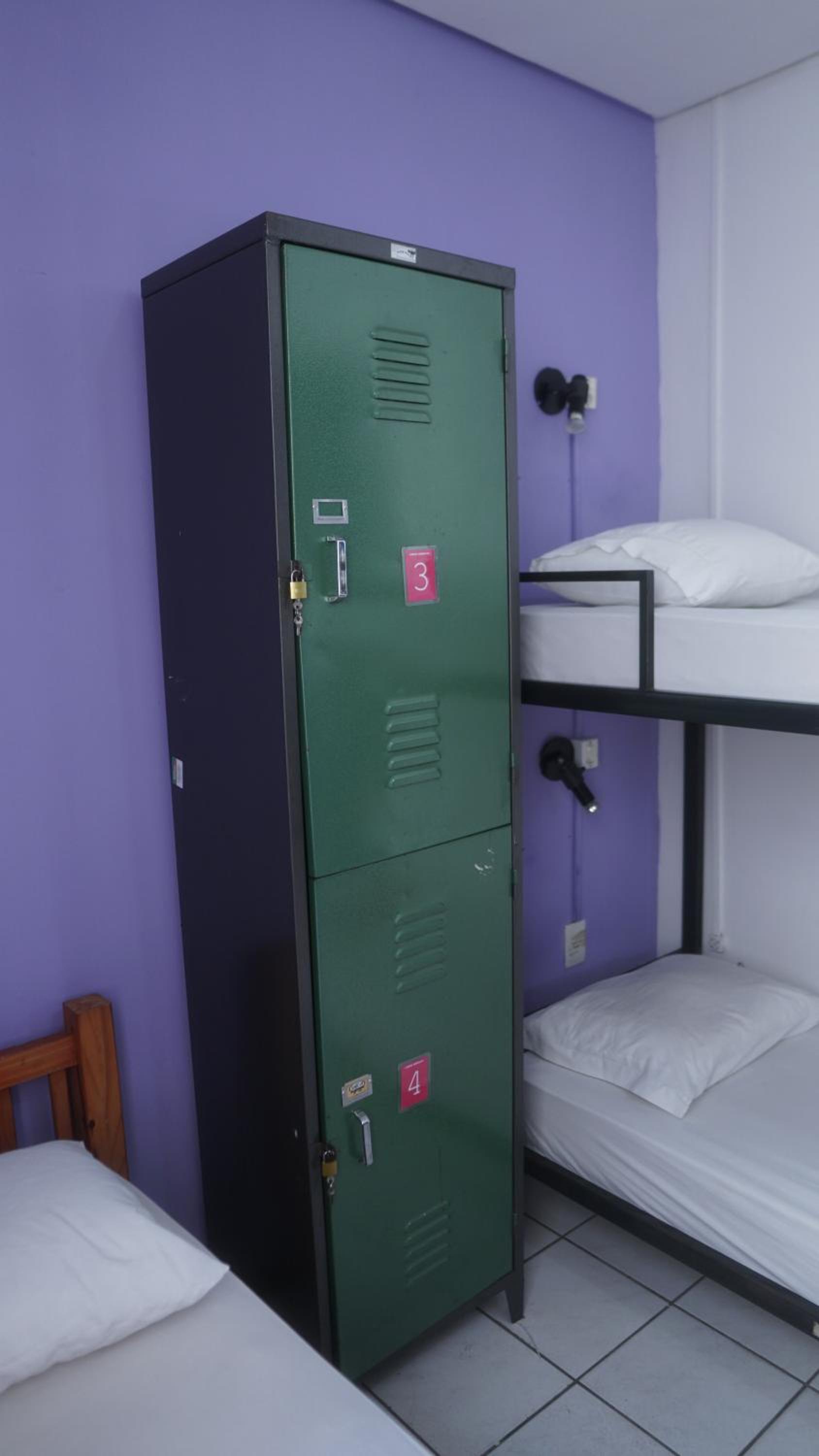 Bunk Bed in Mixed Dormitory Room photo 2