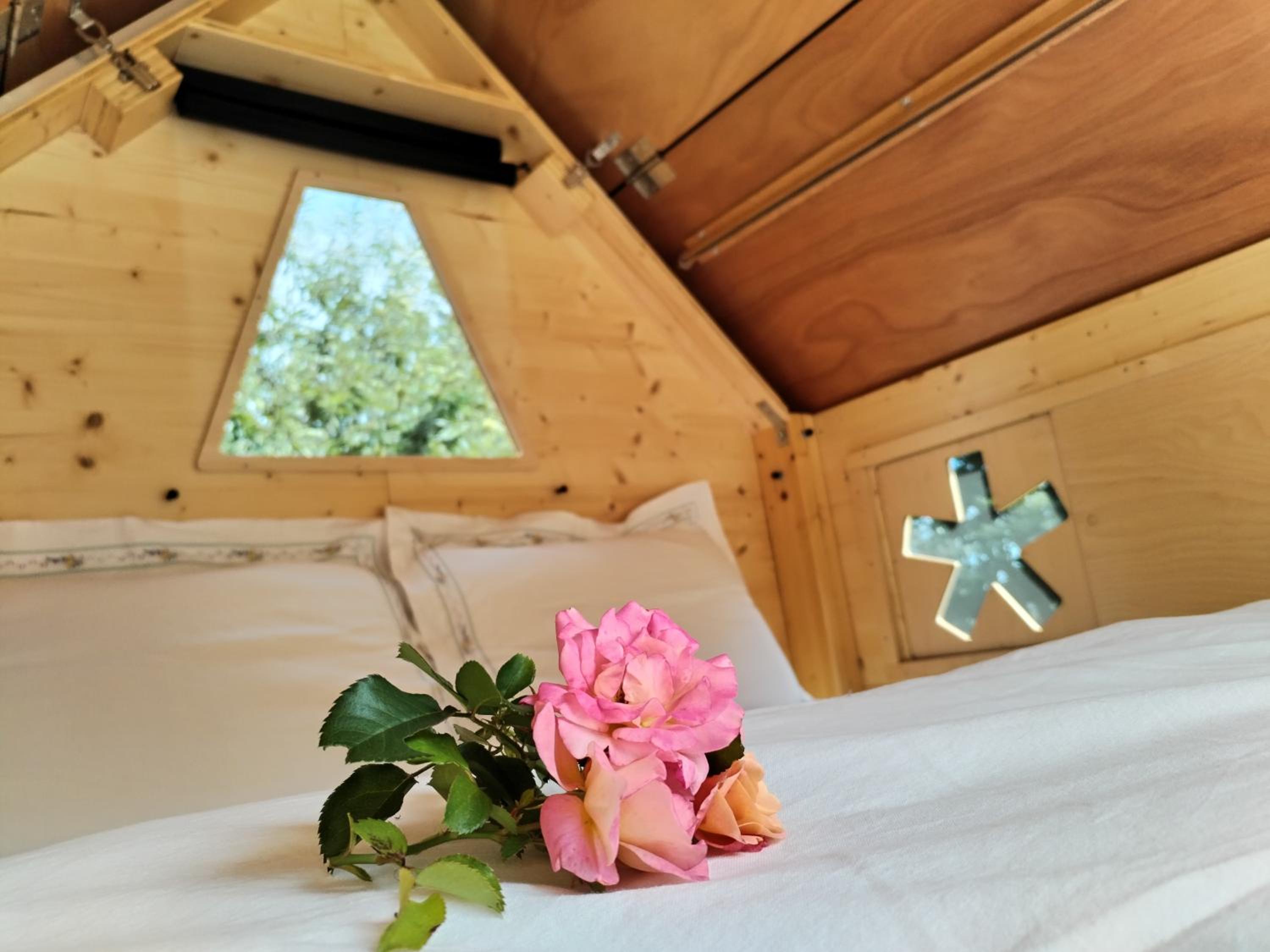 Double Room with Mountain View photo 1
