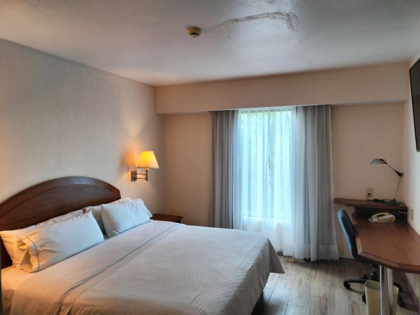 King Room - Photo 1